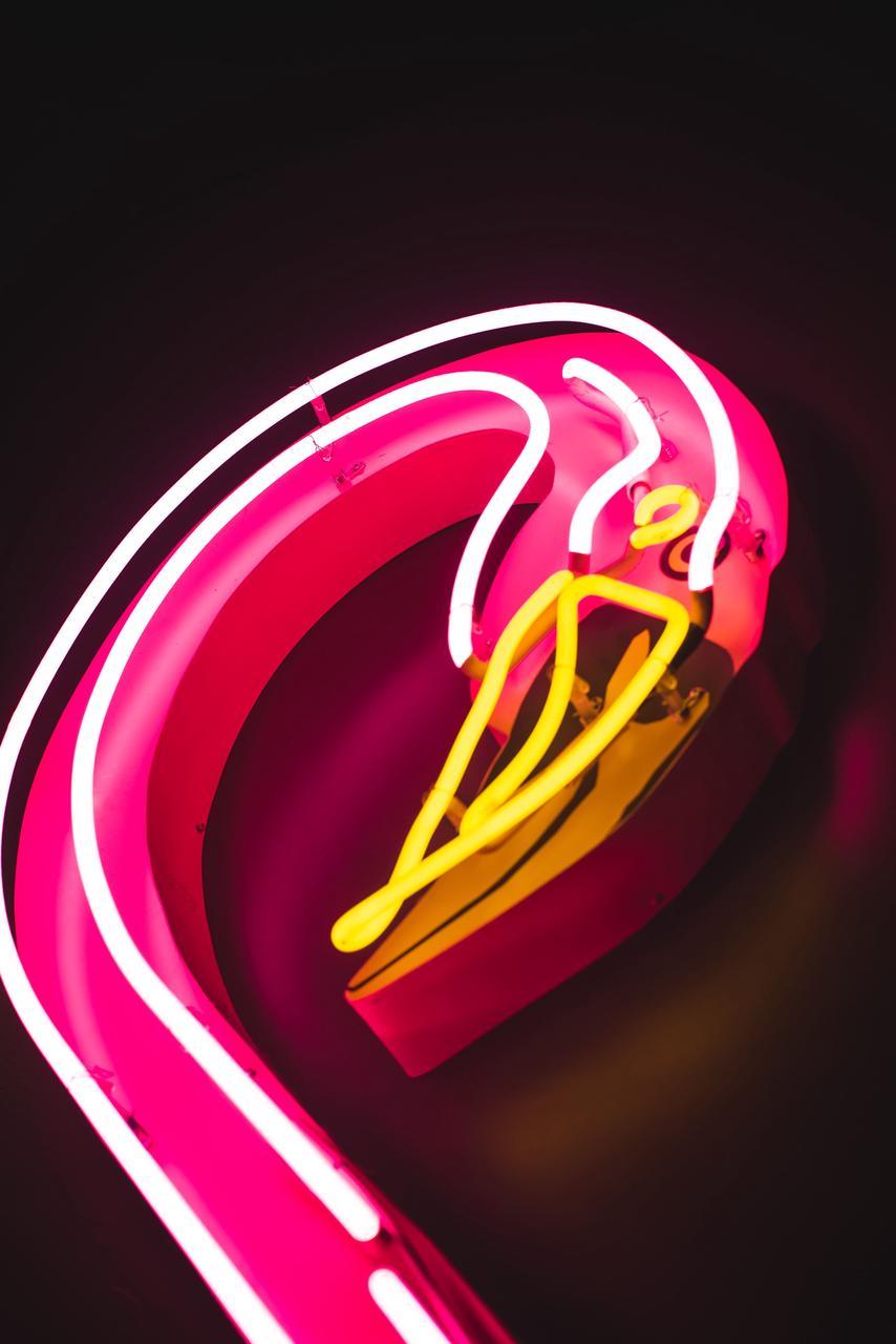 Glass vs LED | Unveiling the Materials Behind Neon Lights - NeonsignLife
