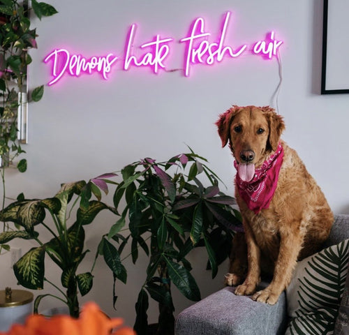 Personalized Neon Signs: Illuminating Your Space with Style