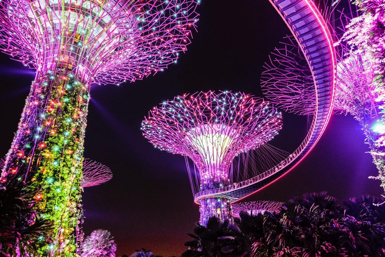 Future Garden | The Magical Glow of Neon Lights - NeonsignLife