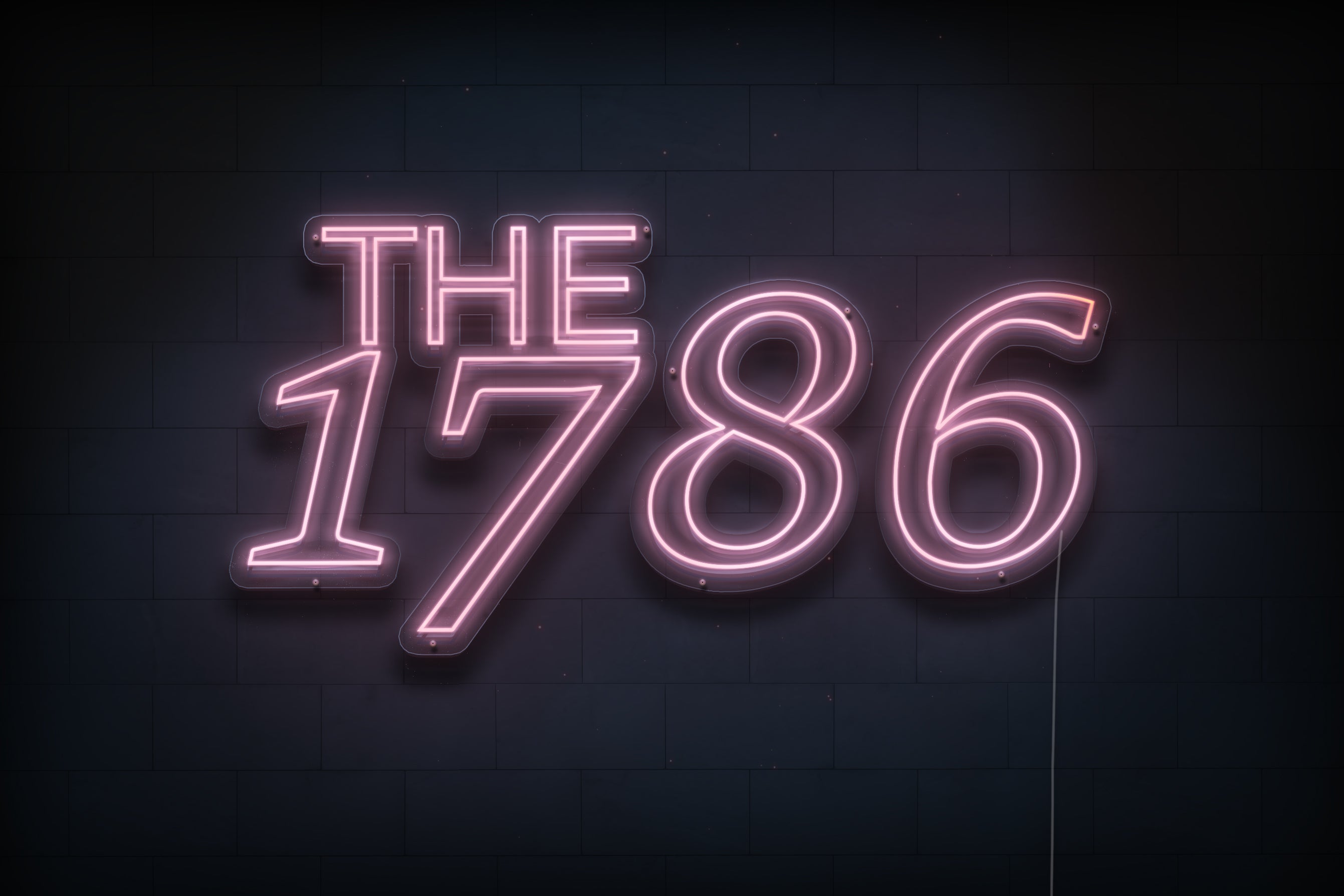 Z1342 Customized LED LOGO to Liz