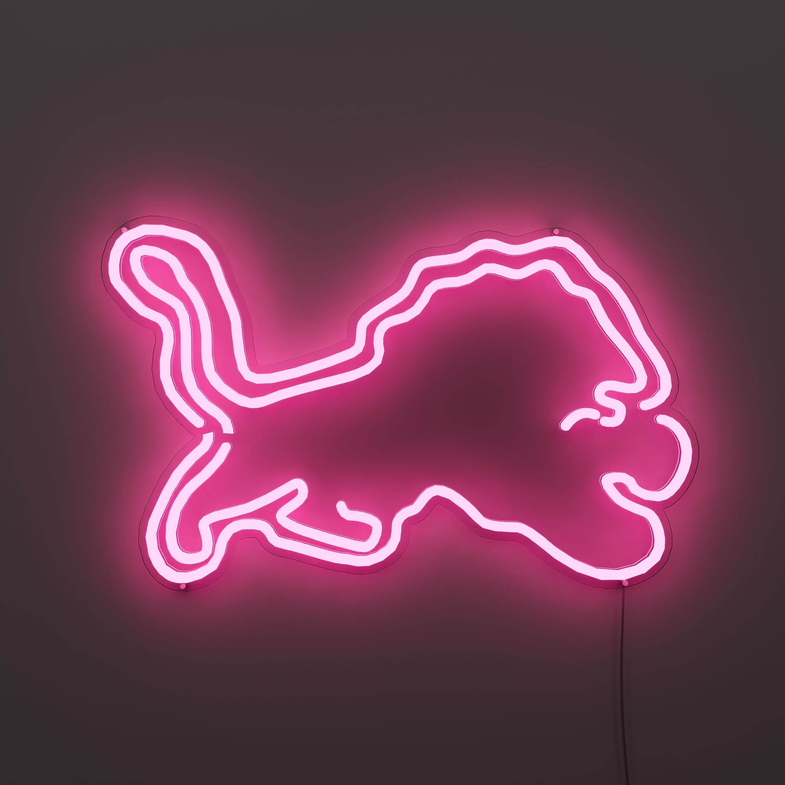 detroit-lions-neon-sign-DeepPink-Neon-sign-Lite