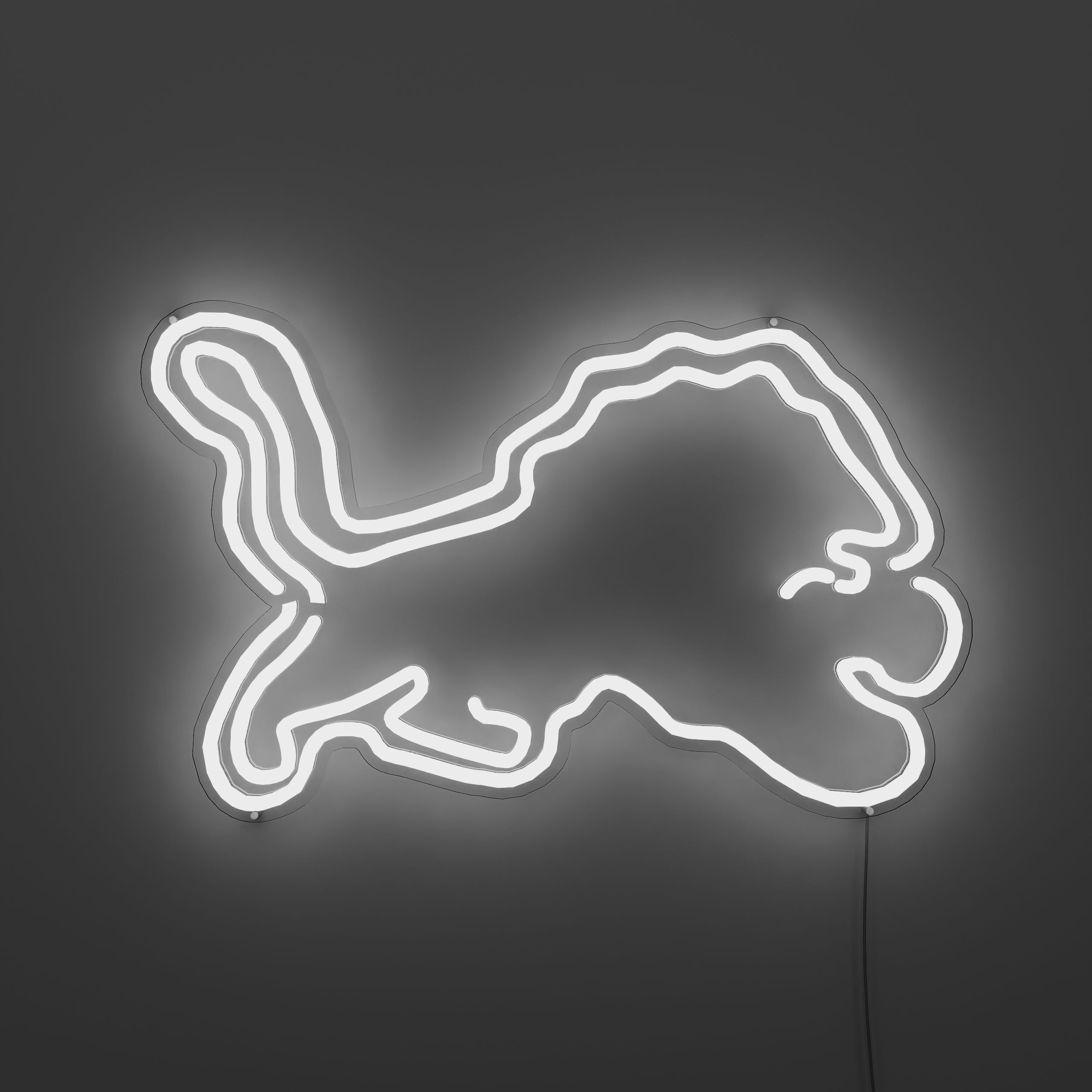 detroit-lions-neon-sign-FloralWwhite-Neon-sign-Lite