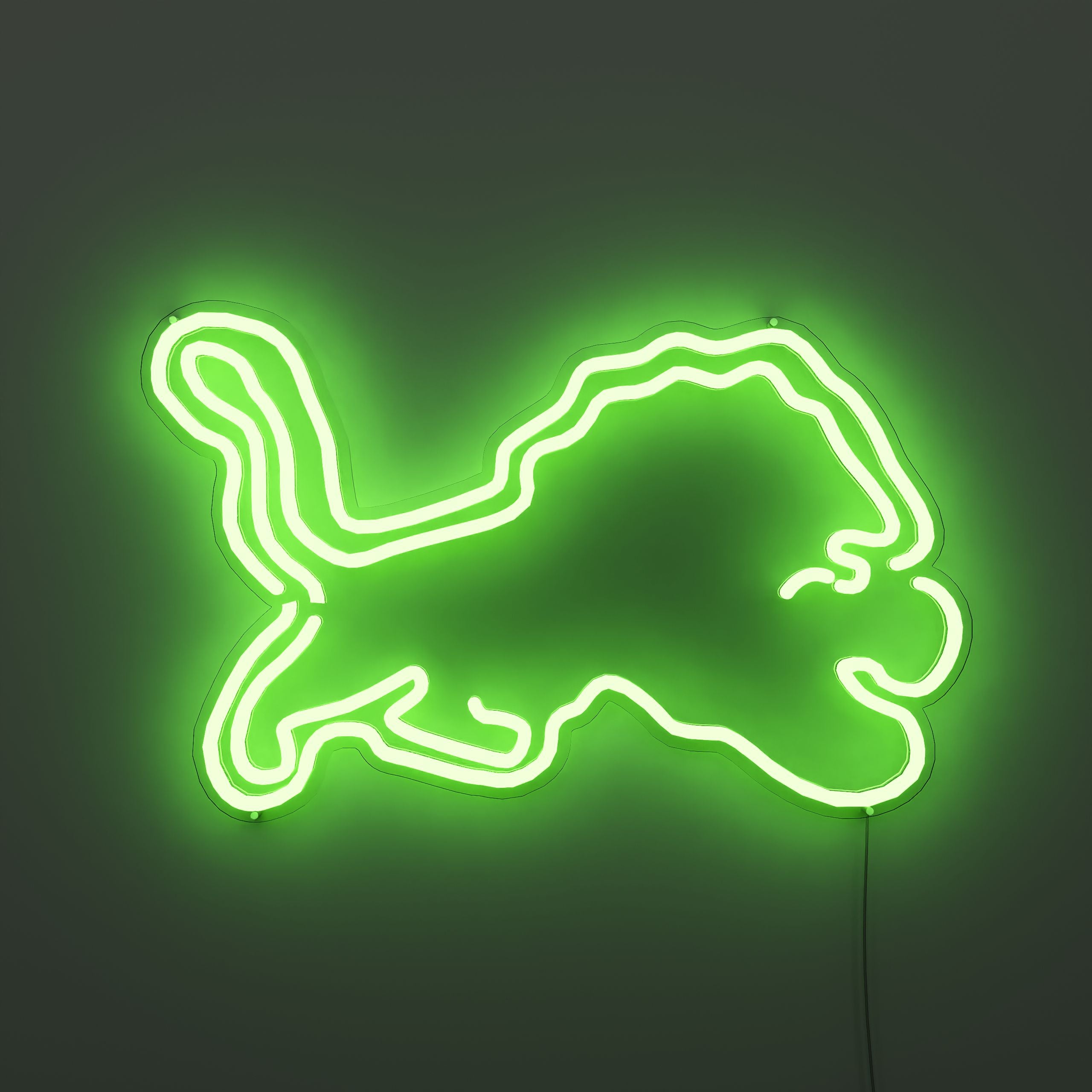detroit-lions-neon-sign-ForestGreer-Neon-sign-Lite
