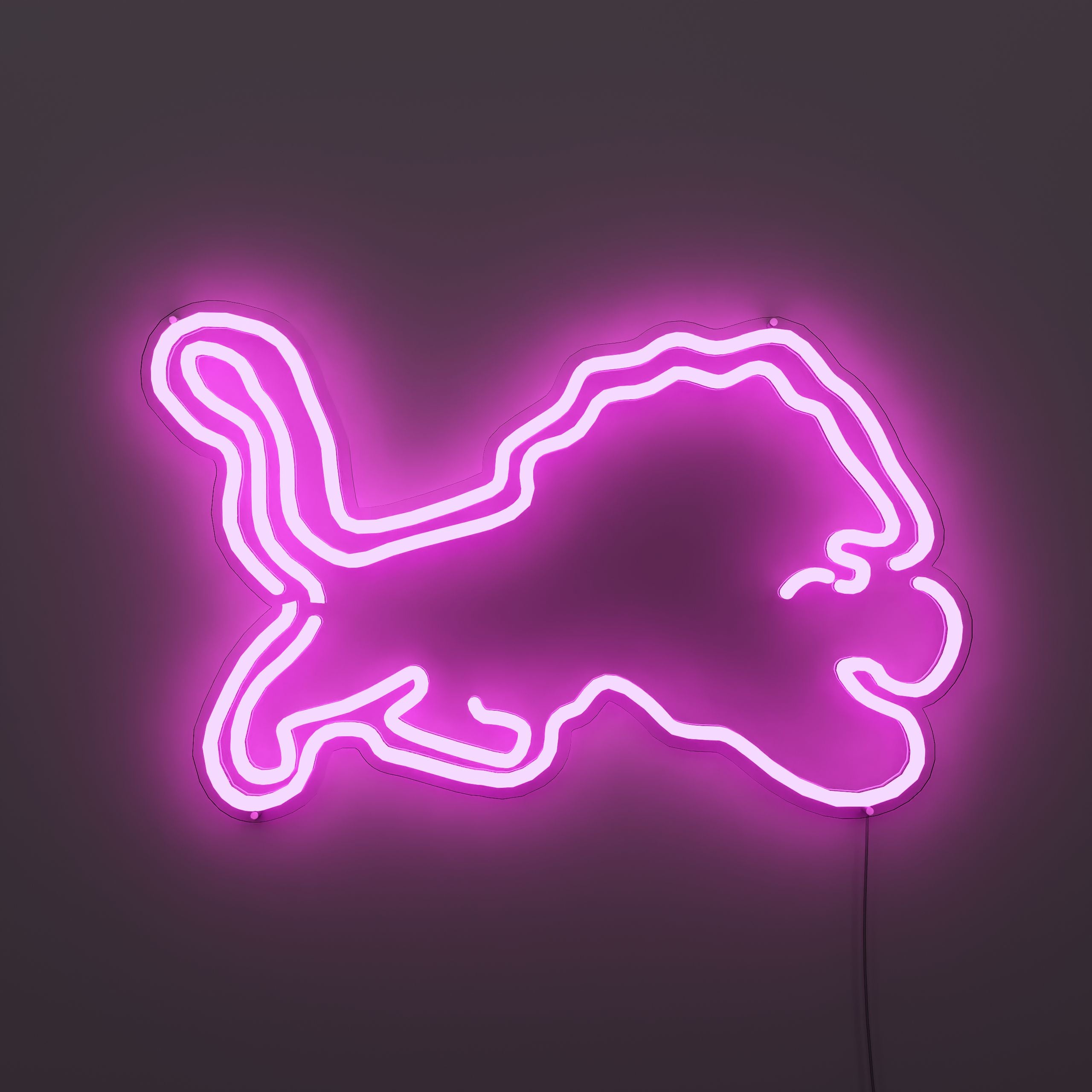 detroit-lions-neon-sign-Fuchsia-Neon-sign-Lite