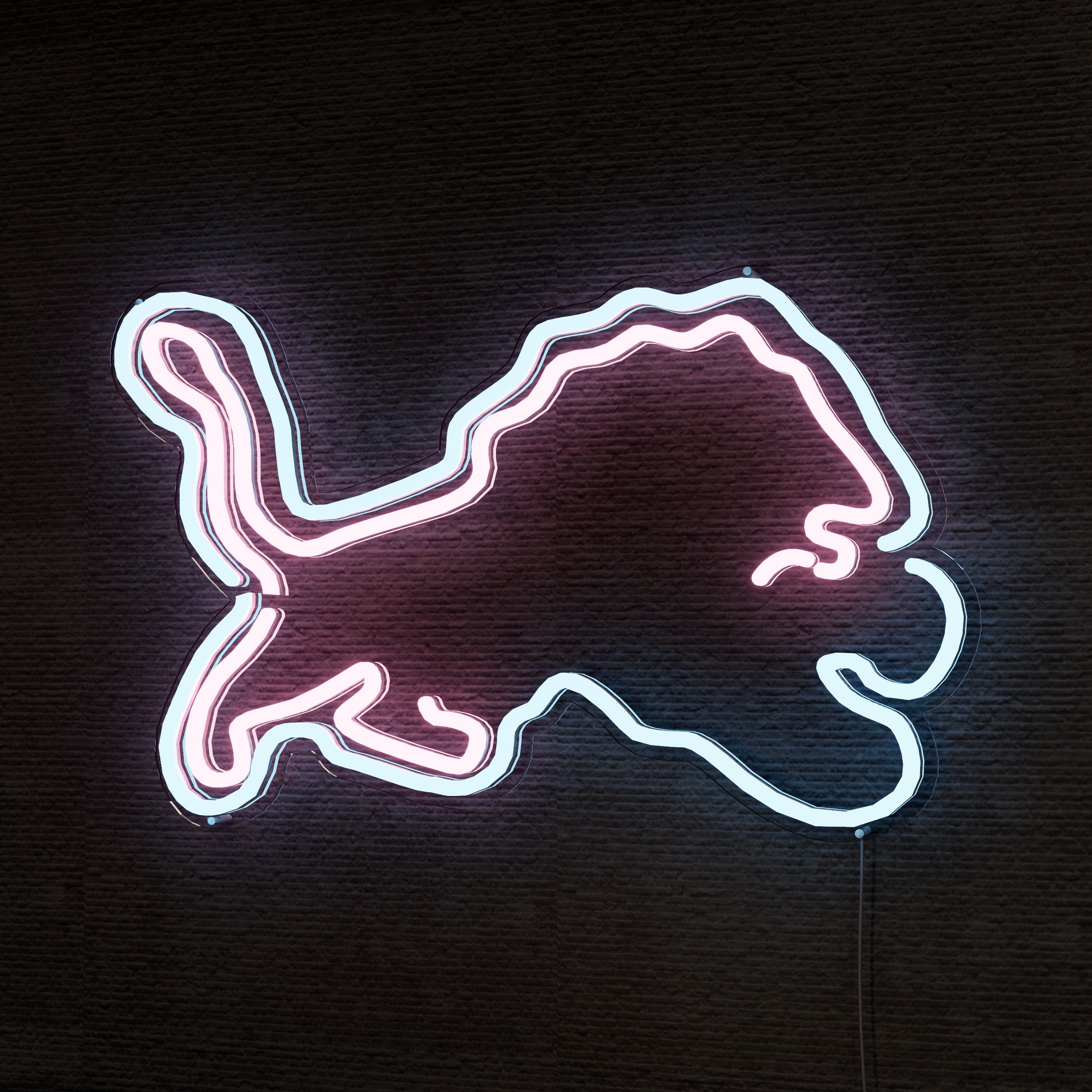 detroit-lions-neon-sign-1-Neon-sign-Lite