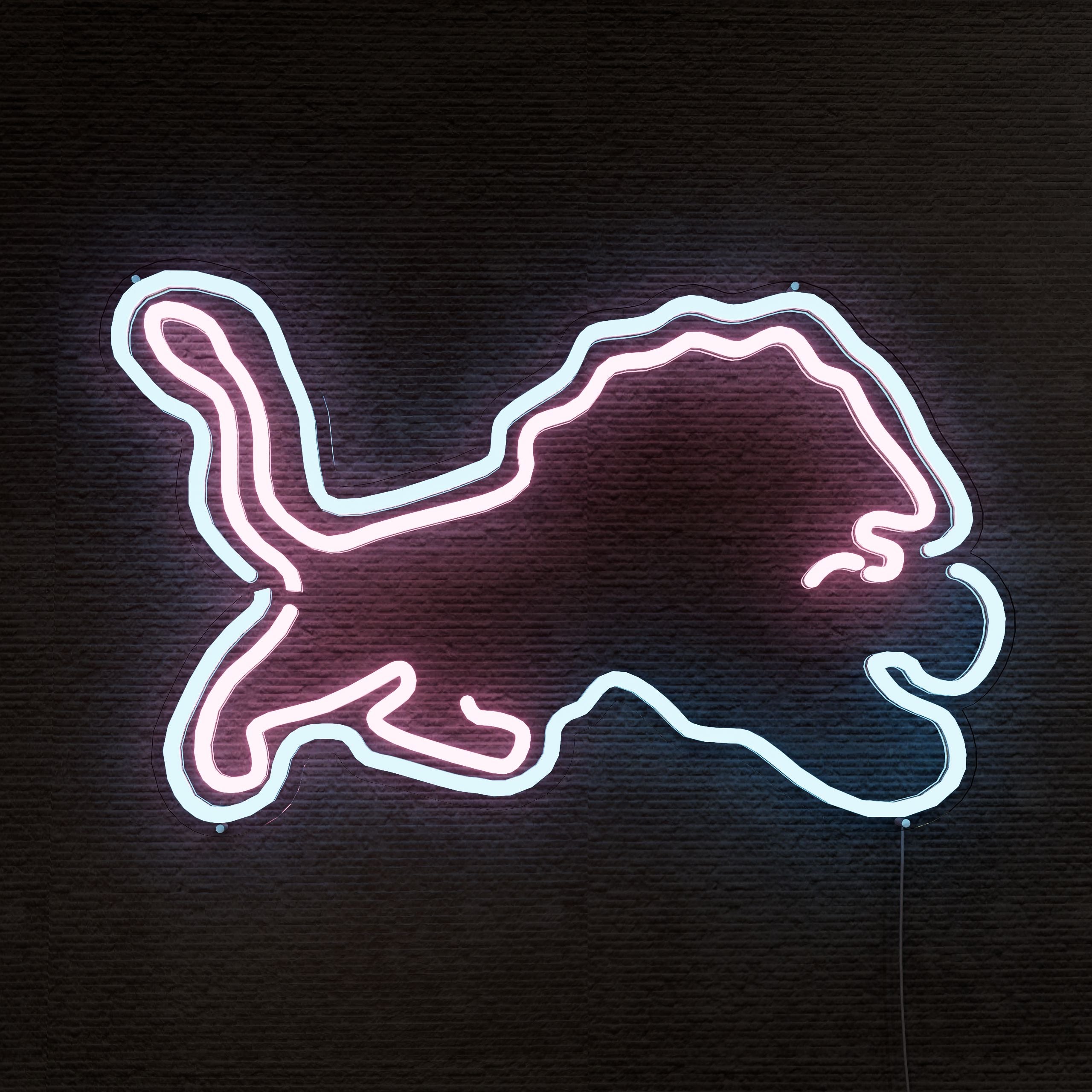 detroit-lions-neon-sign-3-Neon-sign-Lite