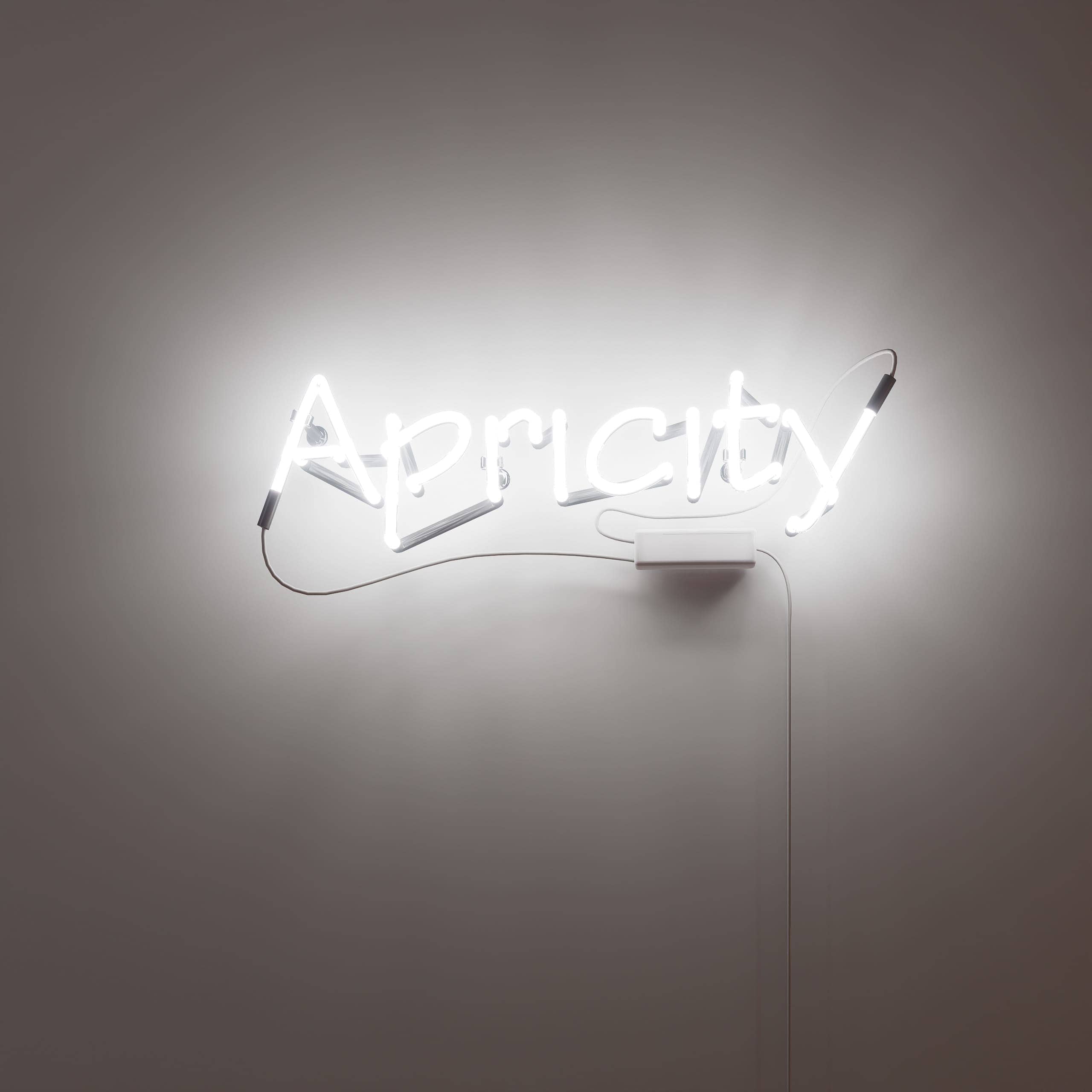 embrace-the-nostalgic-charm-of-'apricity'