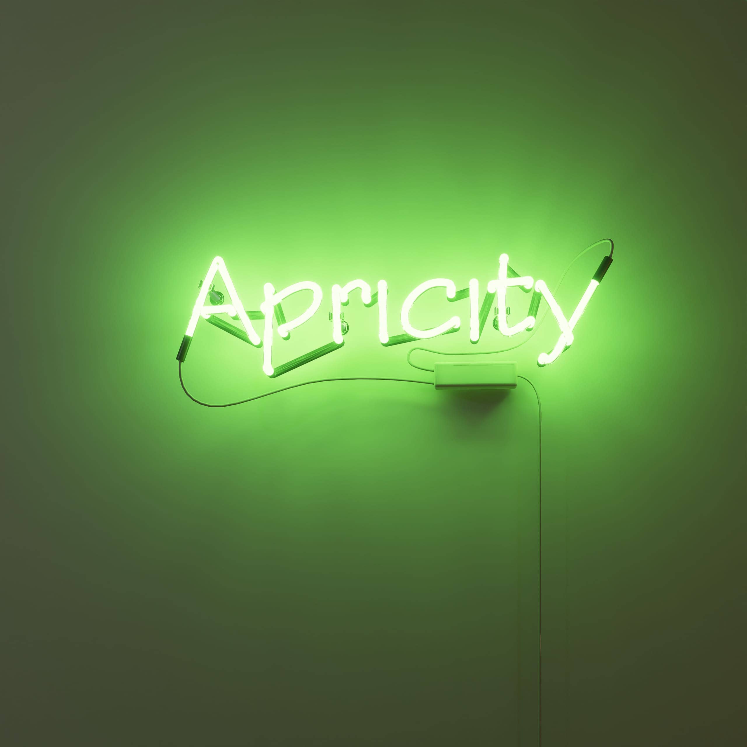 vintage-neon-signs-illuminate-'apricity'