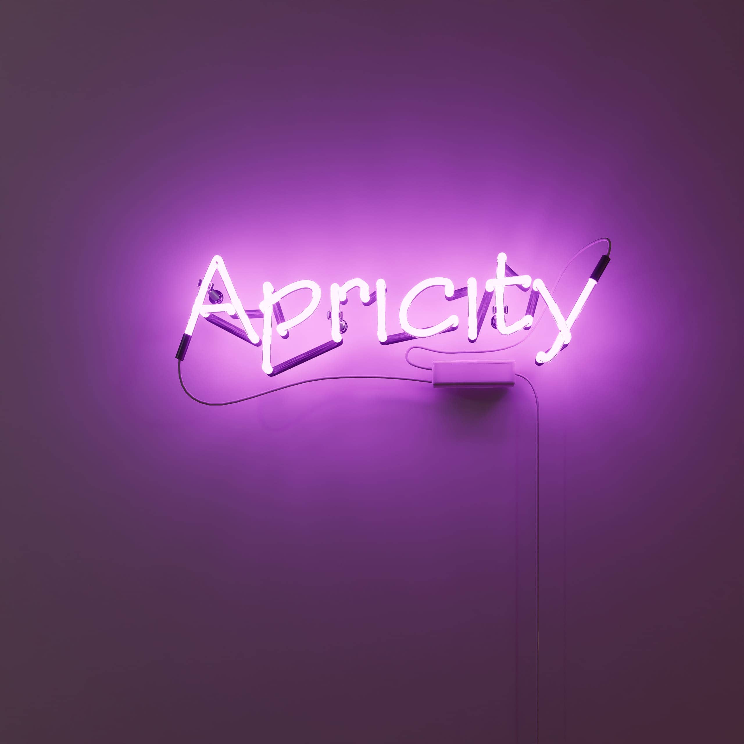 embrace-the-nostalgic-charm-of-'apricity'