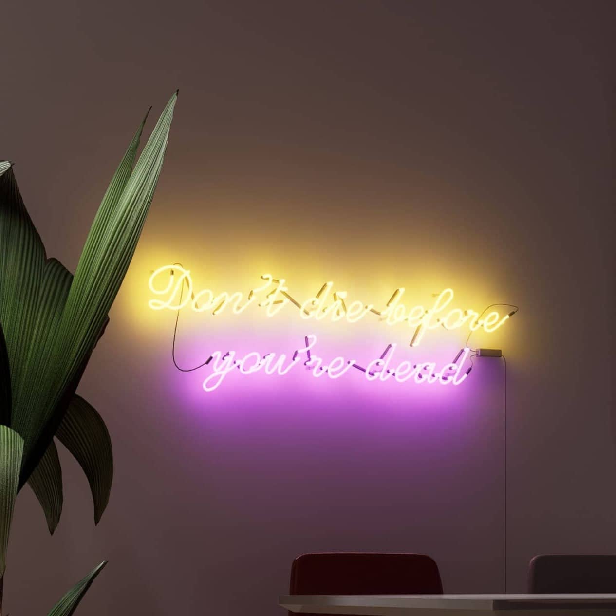 vintage-neon-signs-illuminate-the-essence-of-life