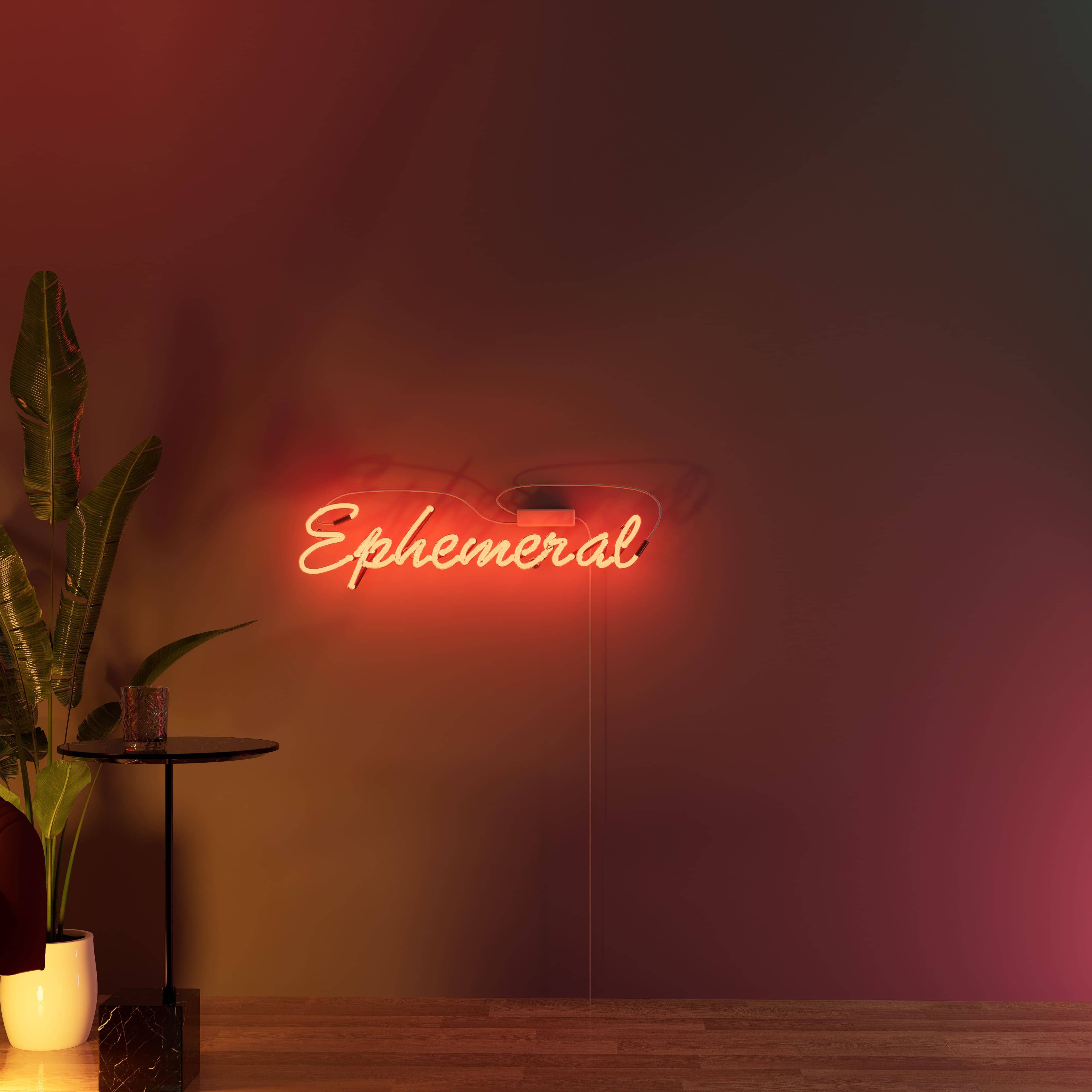 vintage-neon-signs-illuminate-the-transient-nature-of-life