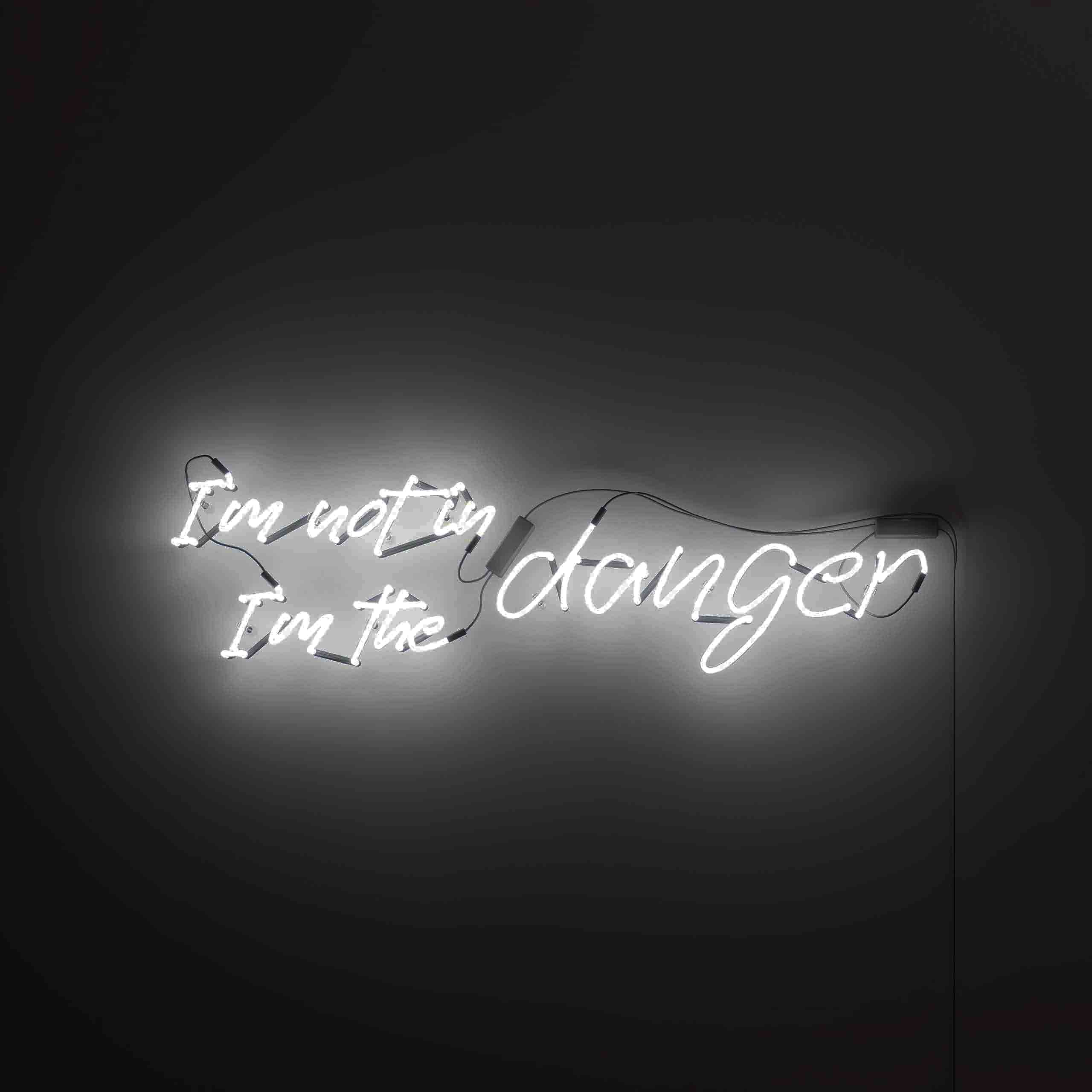 I'm Not in Danger, I'm the Danger vintage neon signs