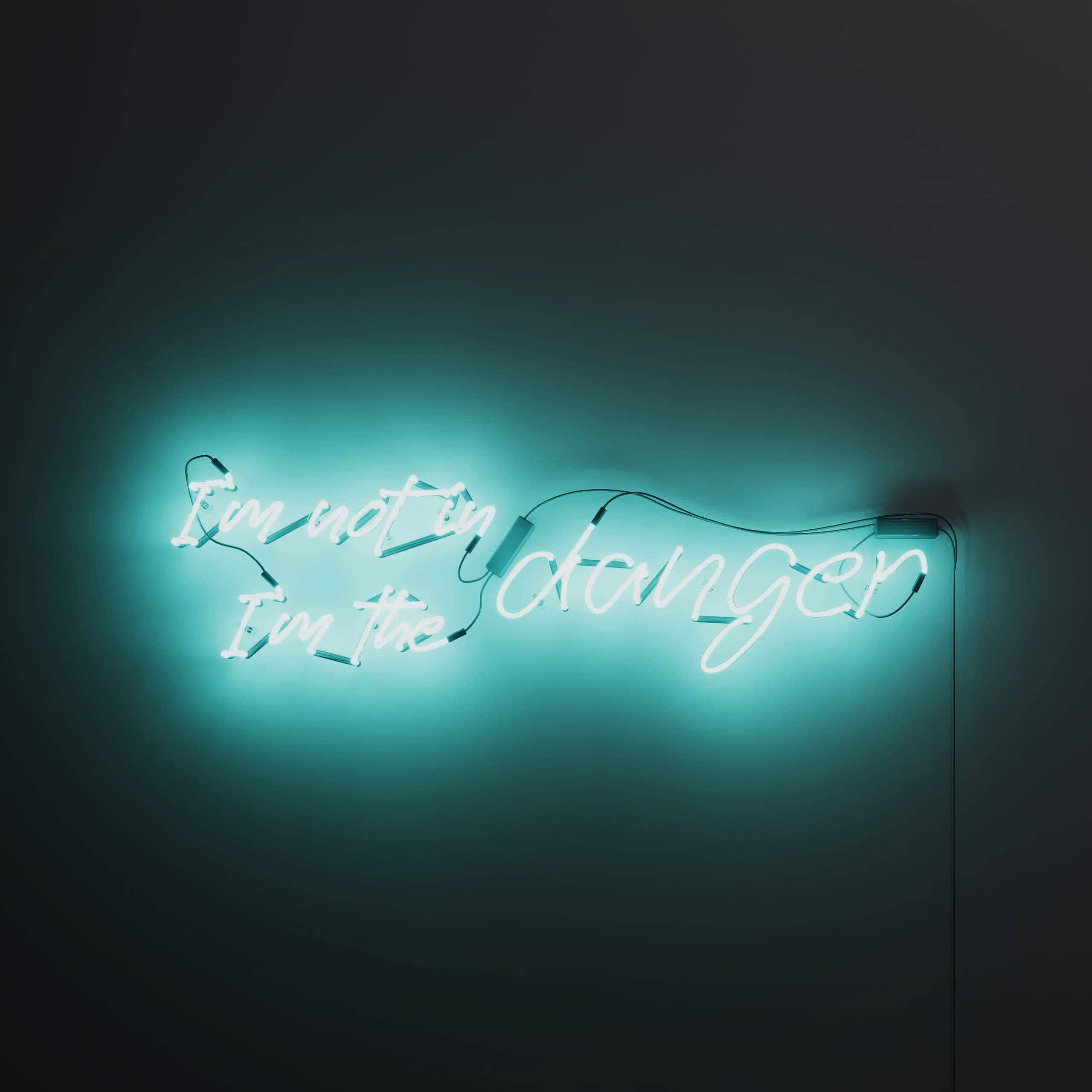I'm Not in Danger, I'm the Danger vintage neon signs