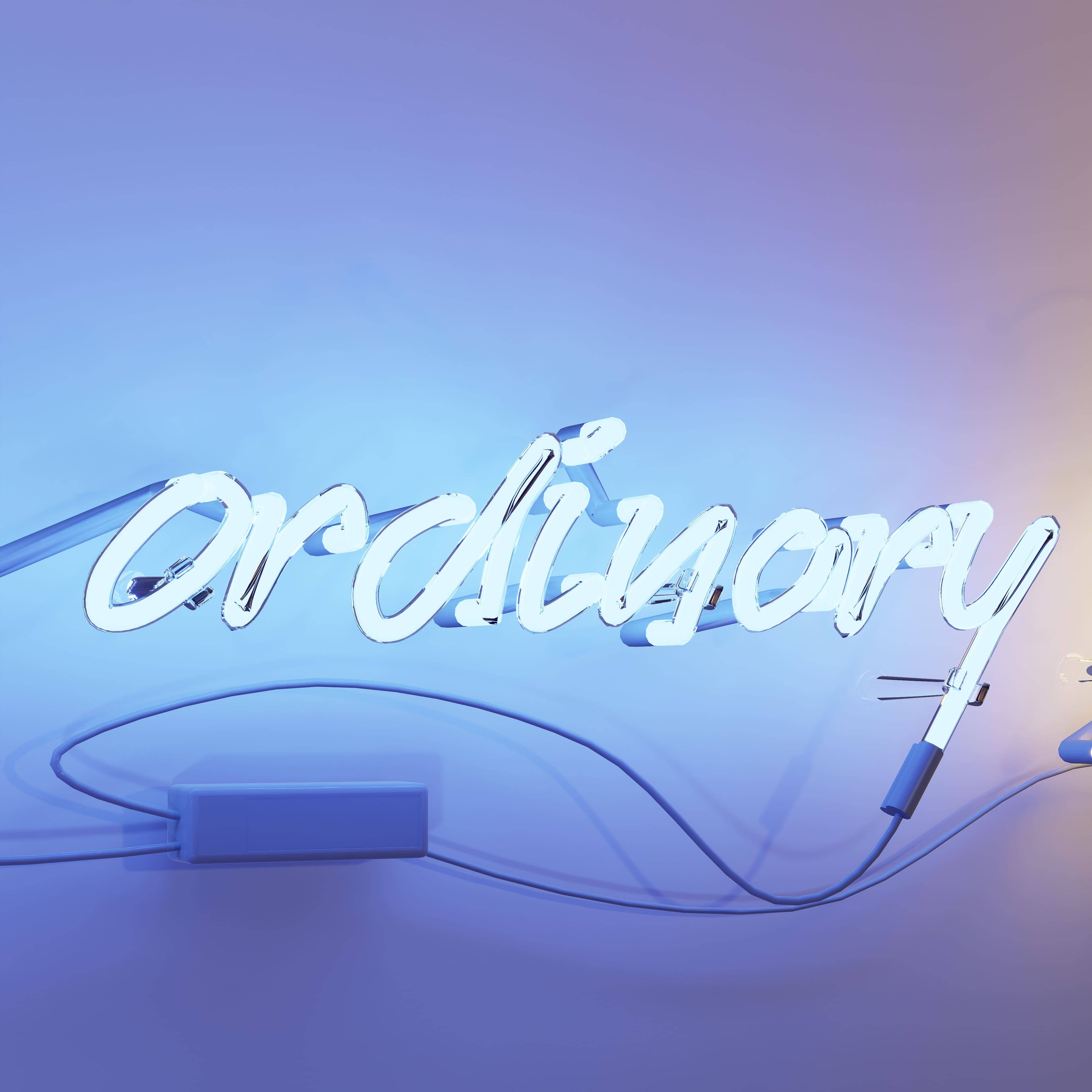 vintage-neon-signs-celebrate-the-extraordinary-in-the-ordinary