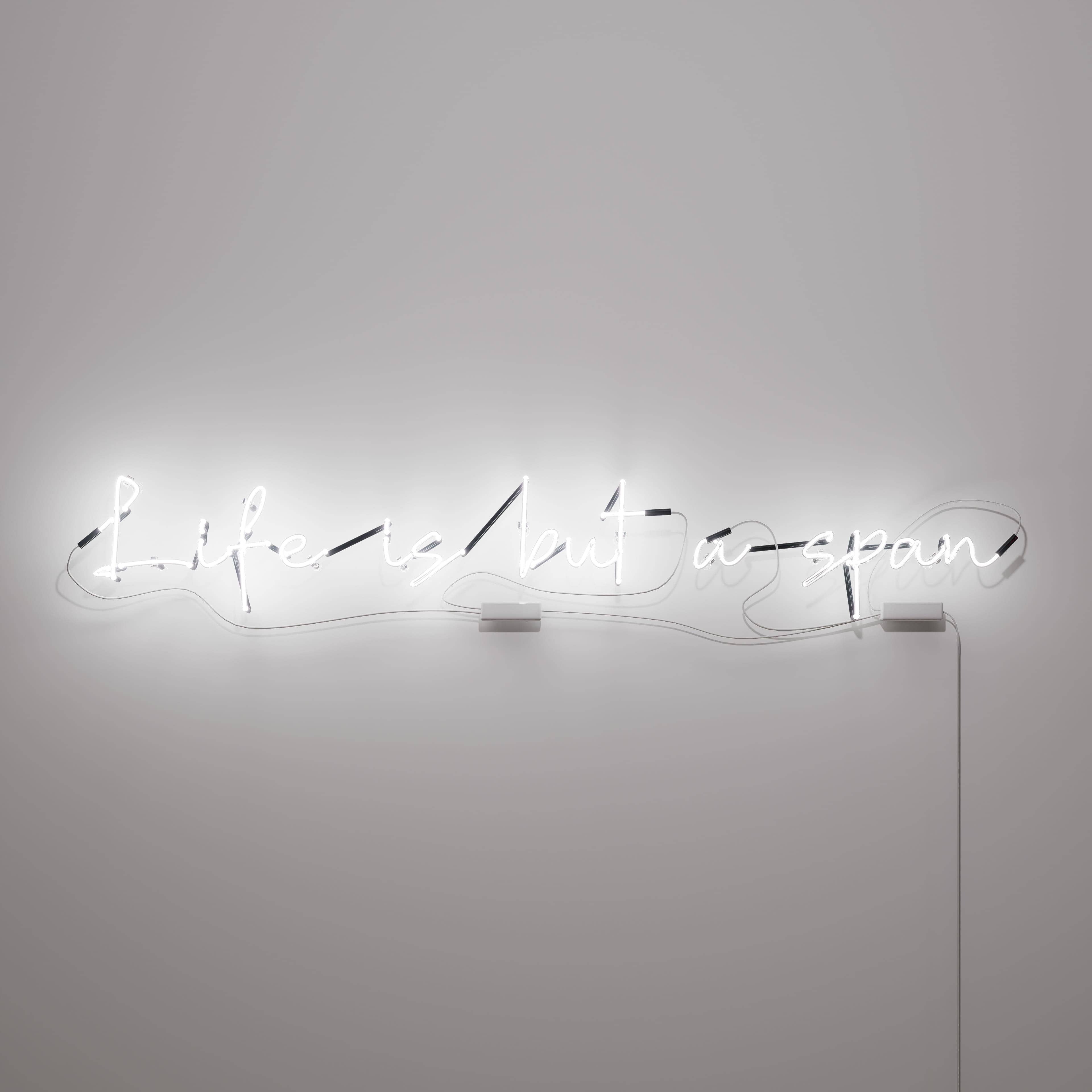 illuminating-the-delicate-balance-of-life's-span