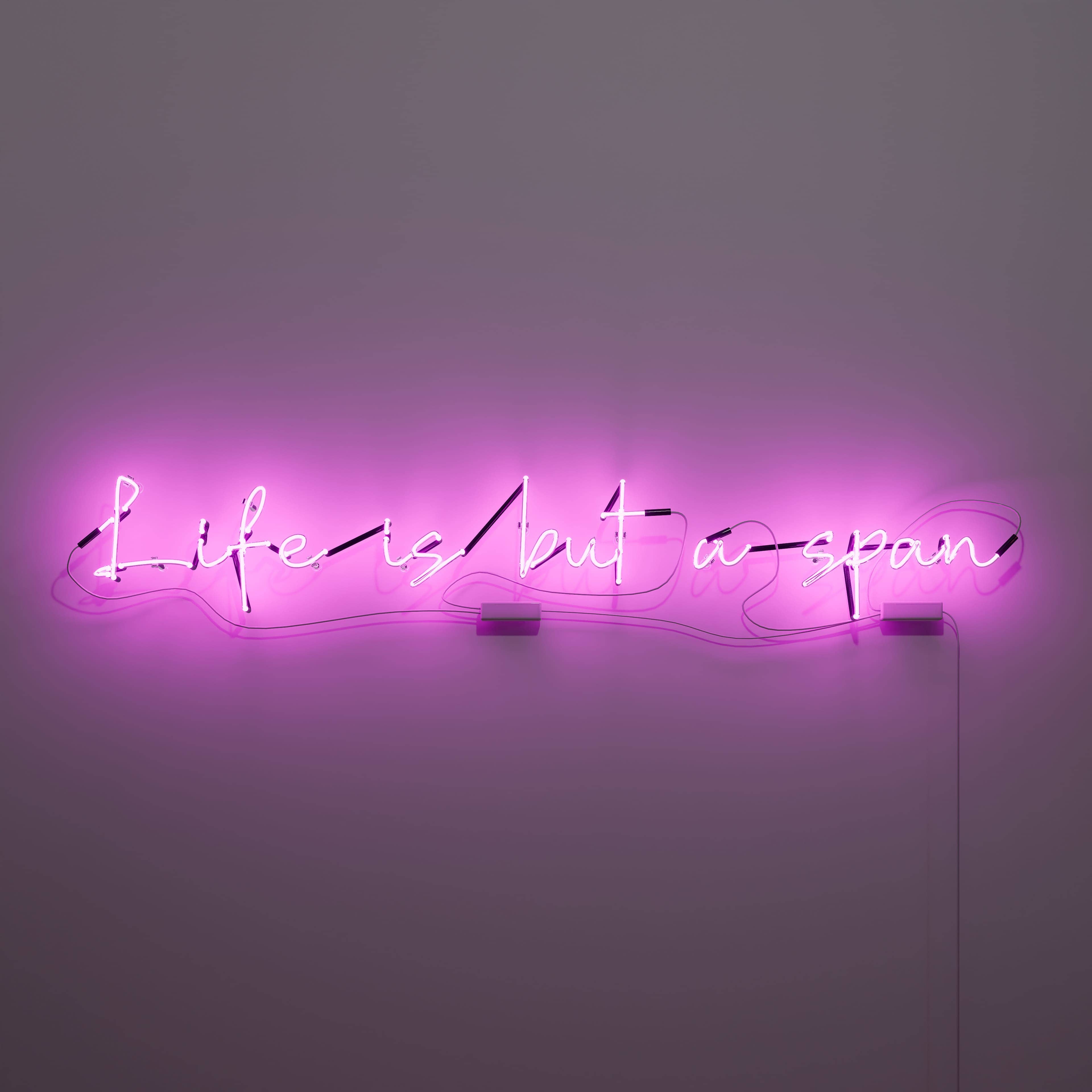 vintage-neon-signs-celebrate-life's-transitory-nature