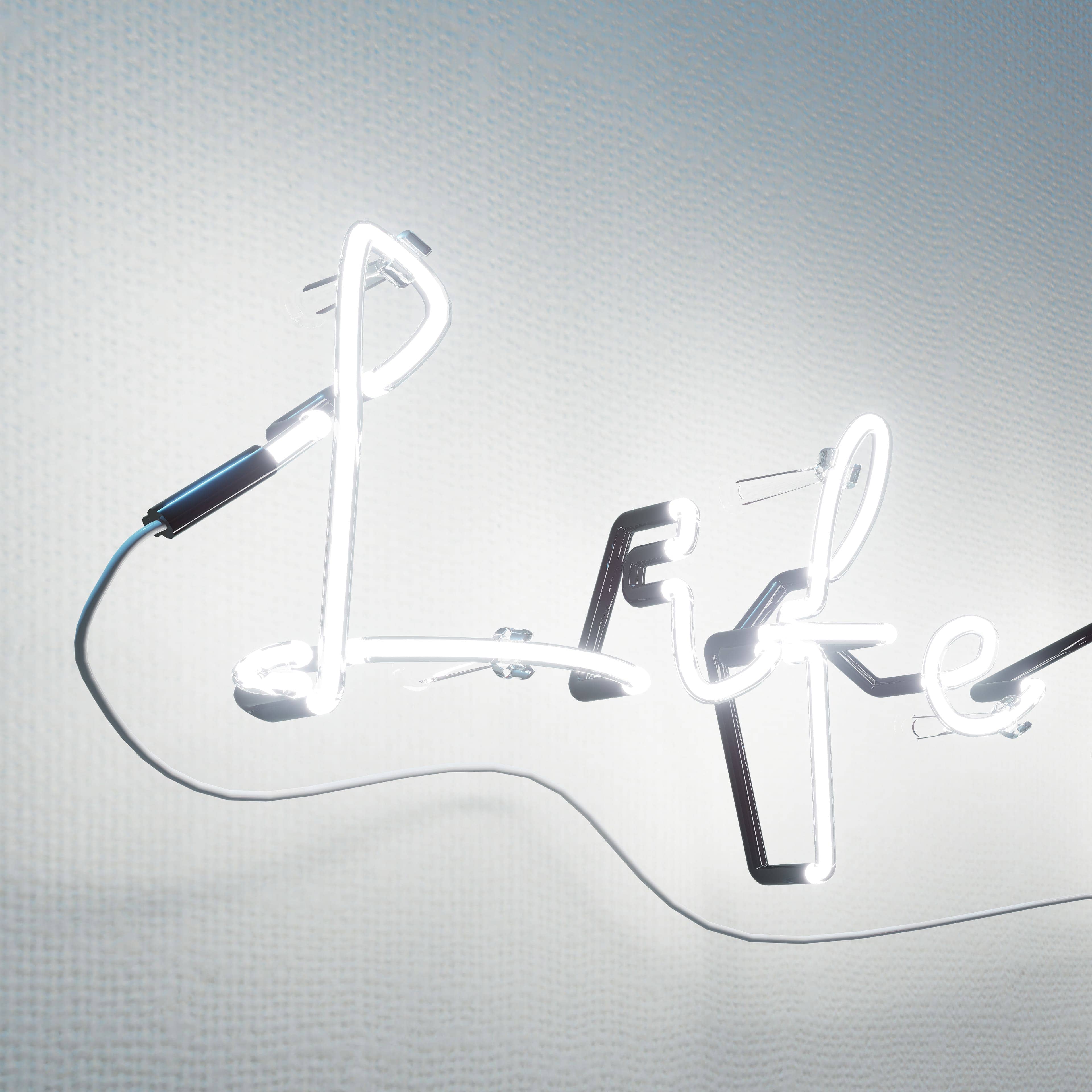 vintage-neon-signs-illuminate-life's-brief-chapters