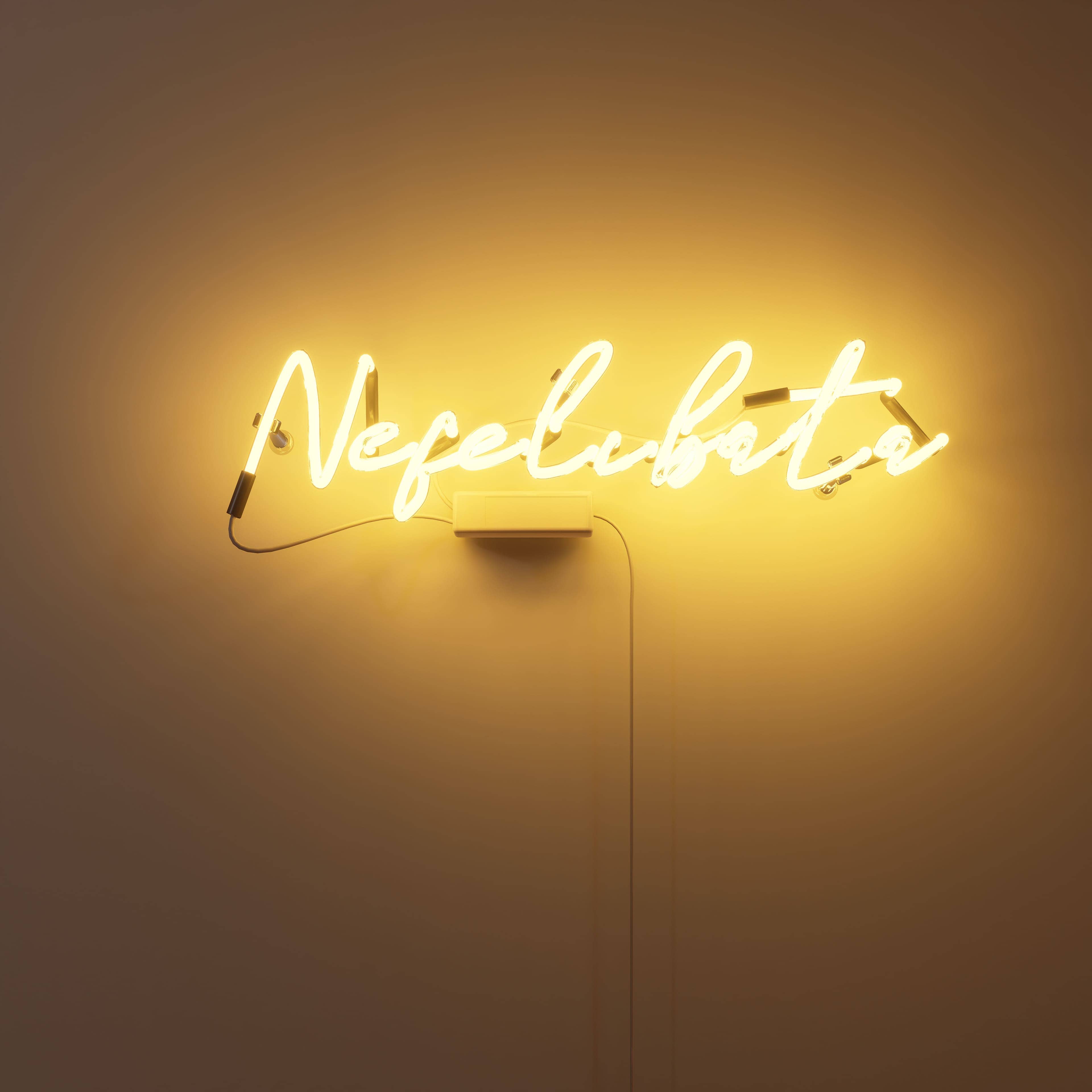 name neon signs for room Nefelibata