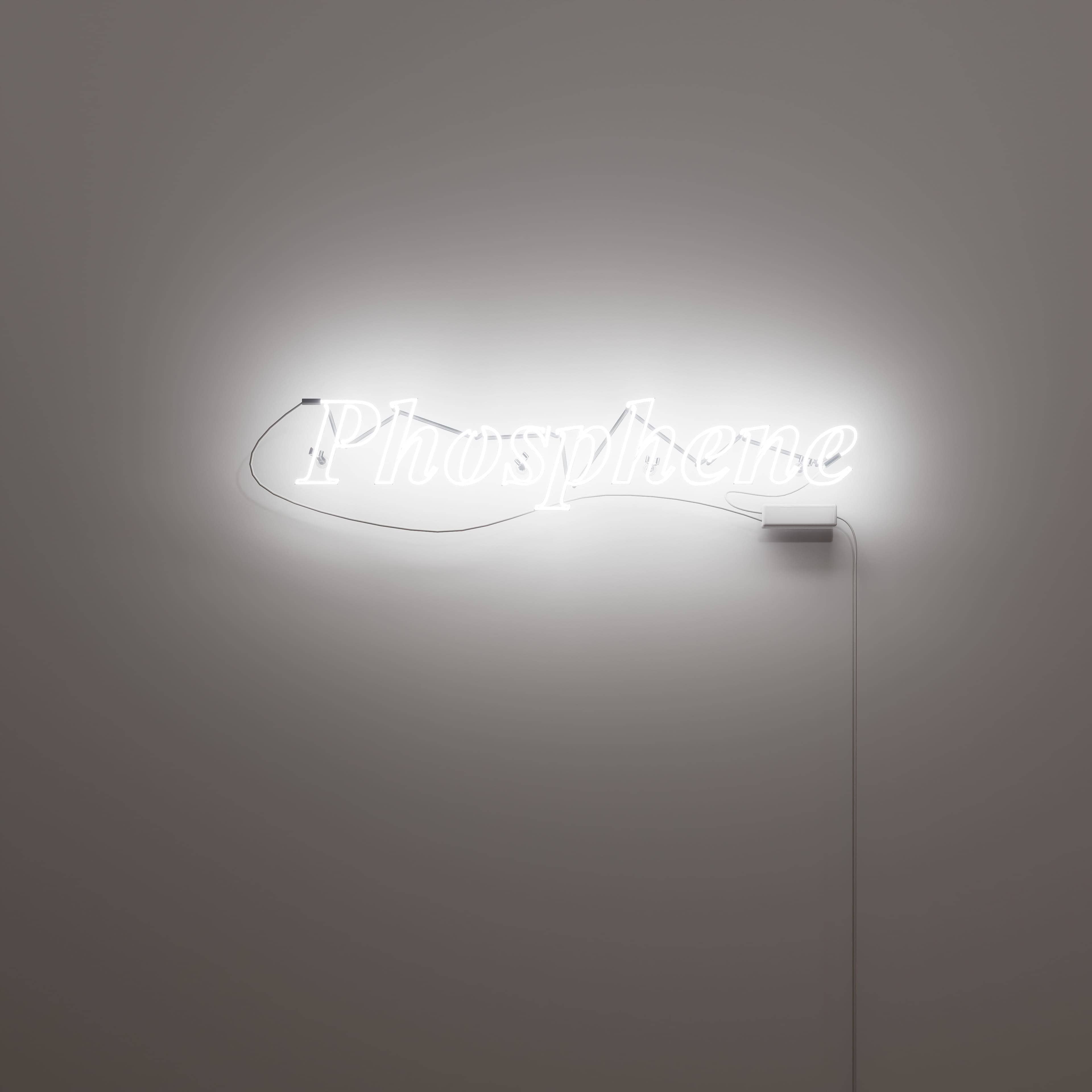 vintage-neon-signs-and-the-mesmerizing-power-of-'phosphene'