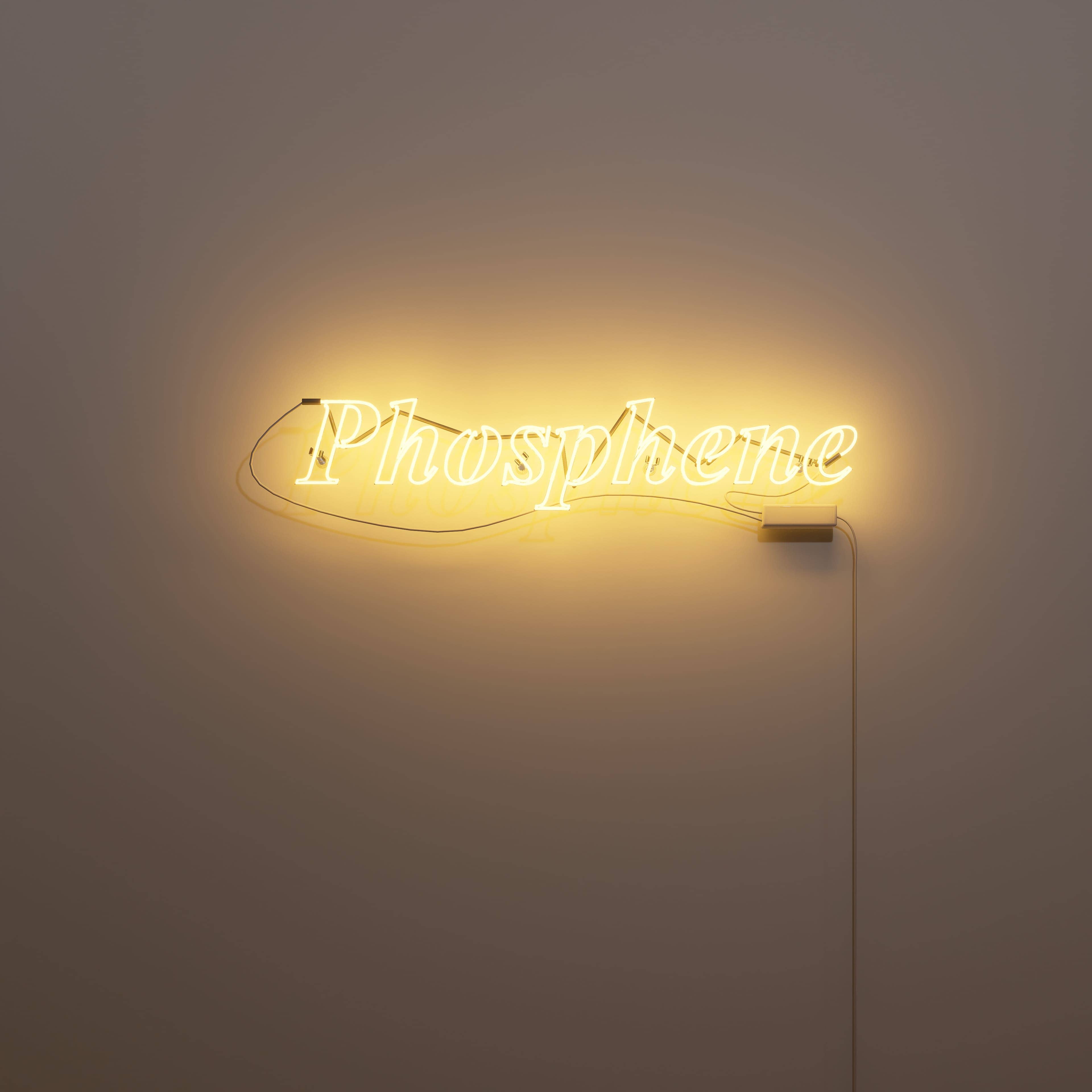 vintage-neon-signs-embrace-'phosphene'
