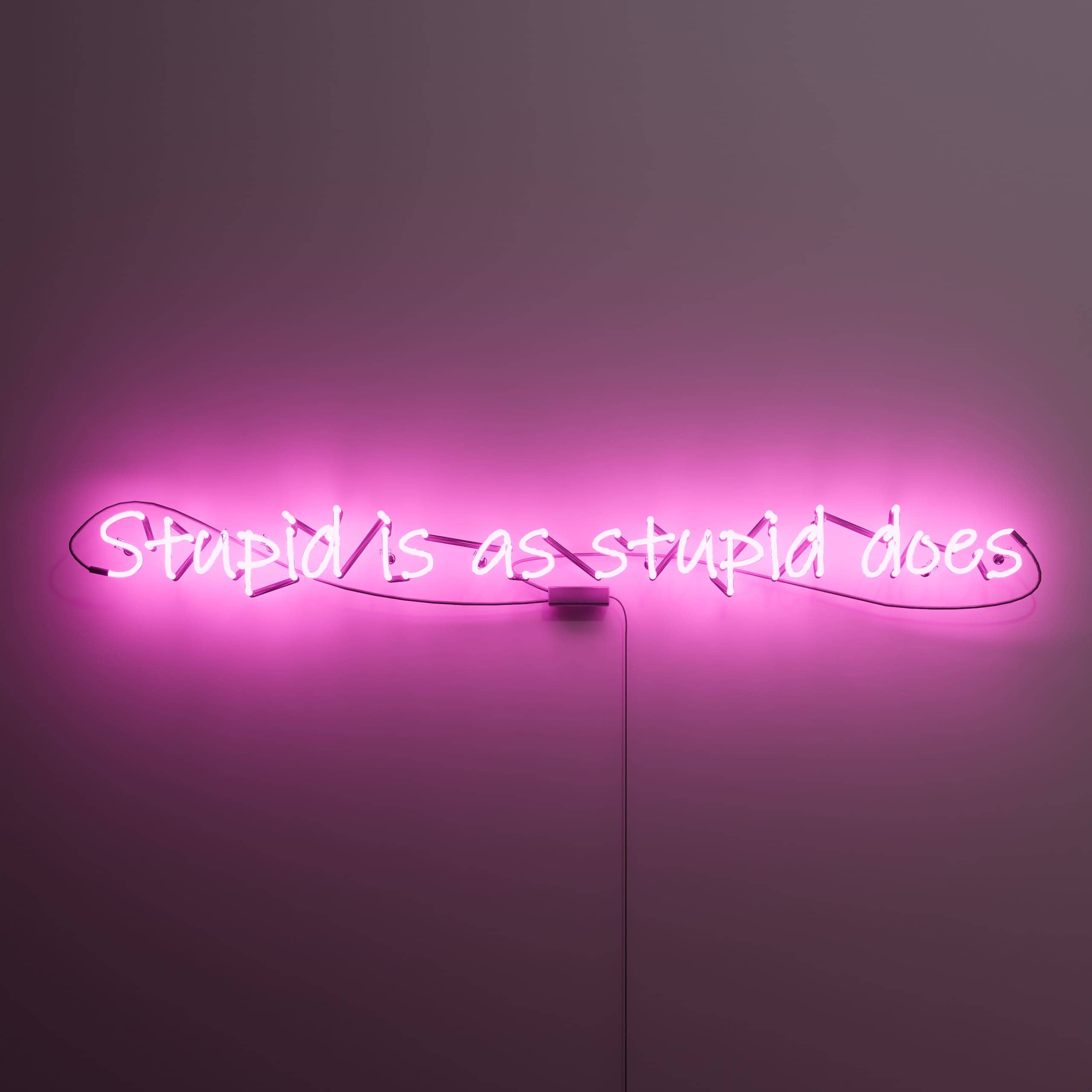 vintage-neon-signs-convey-'stupid-is-as-stupid-does'