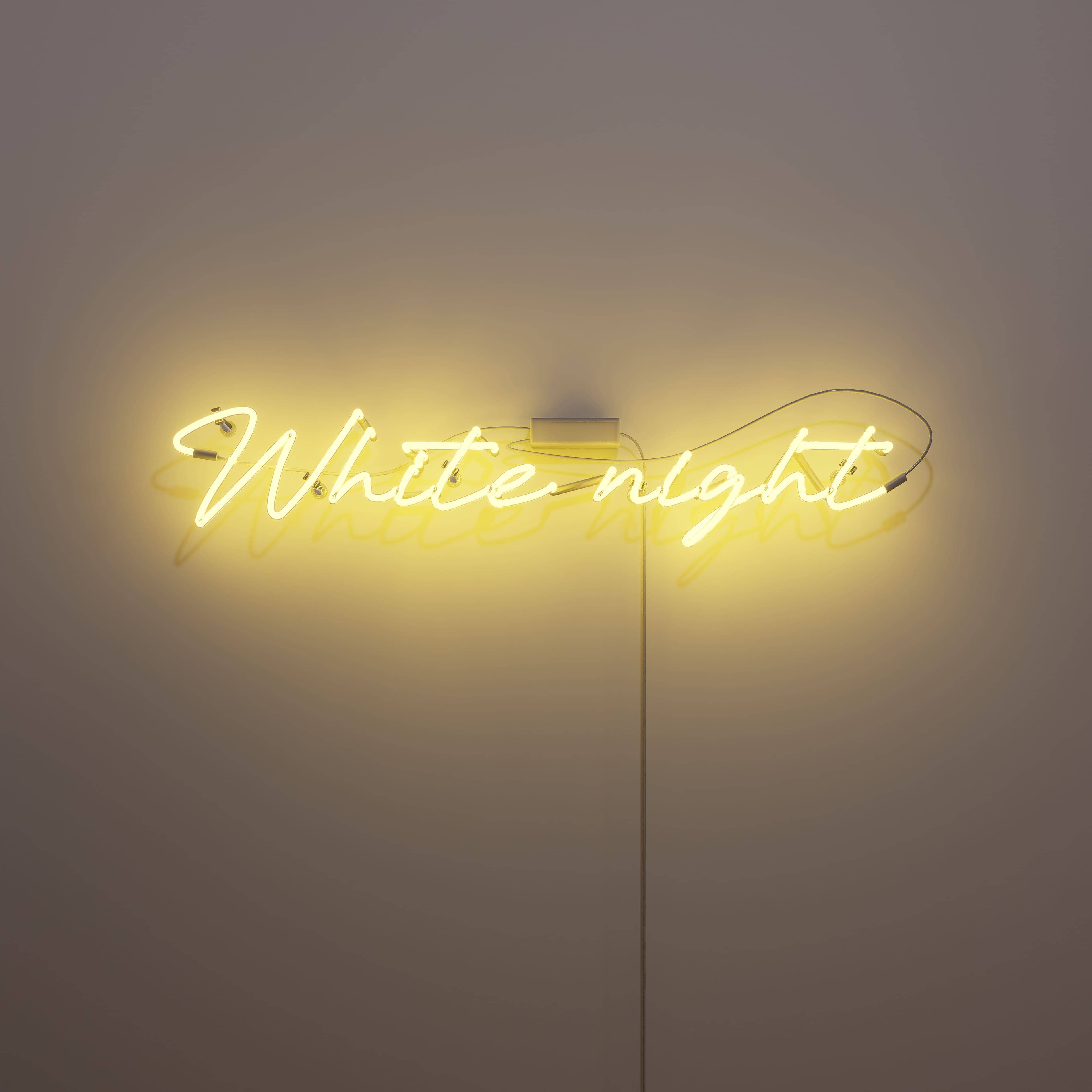 Capturing the Essence of a Dreamy White Night