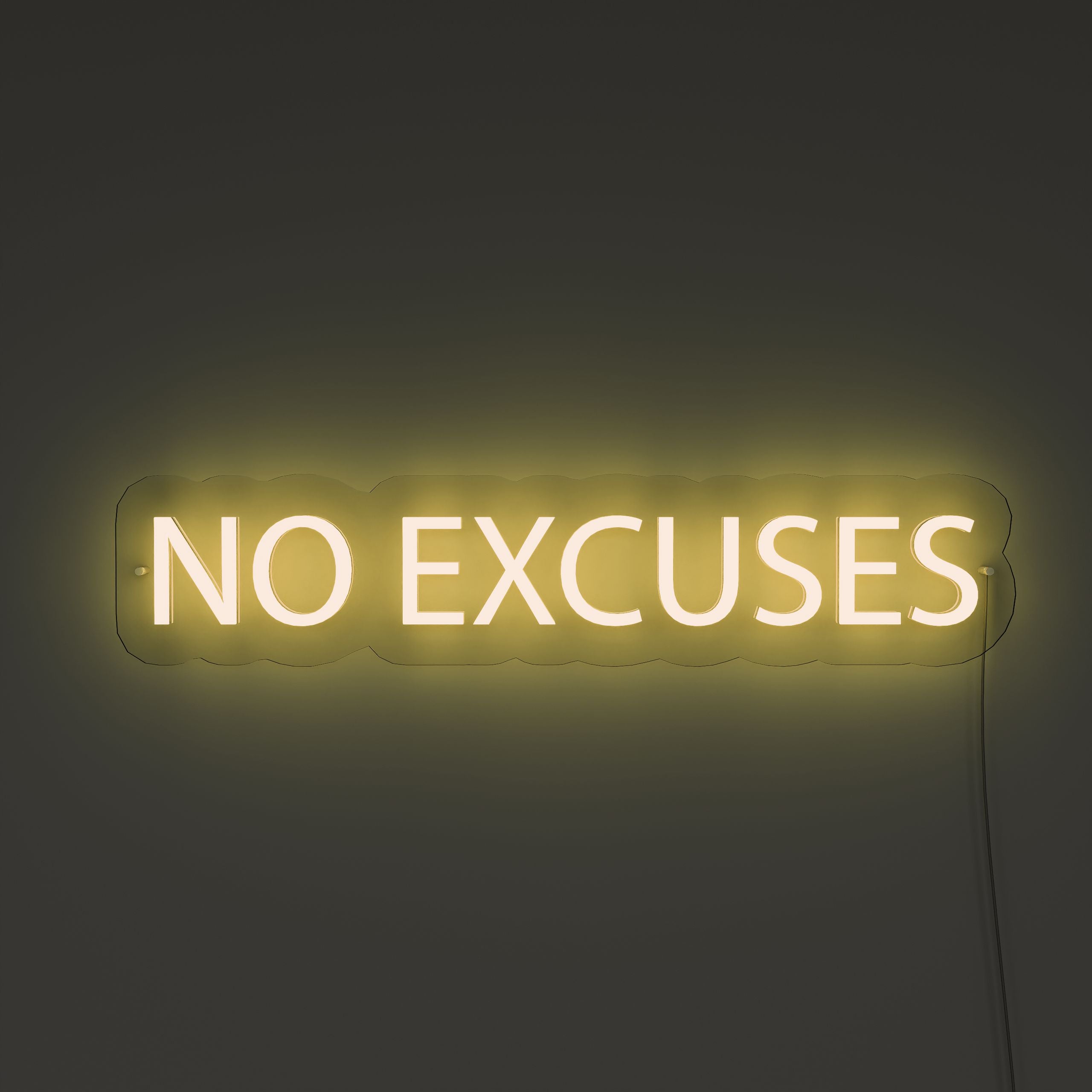 No Excuses GYM neon sign