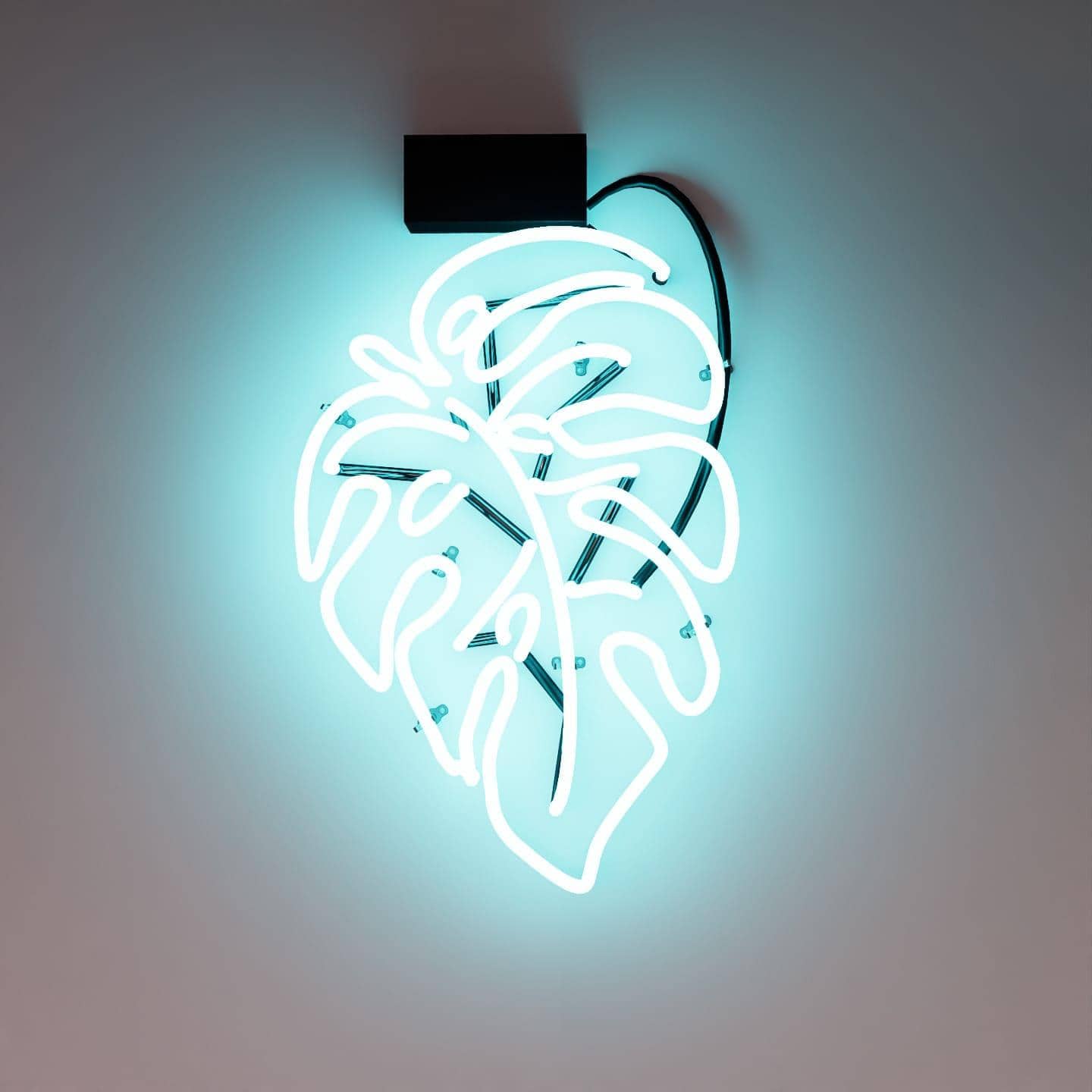The Leaf glass neon sign radiating a welcoming glow as a neon open sign