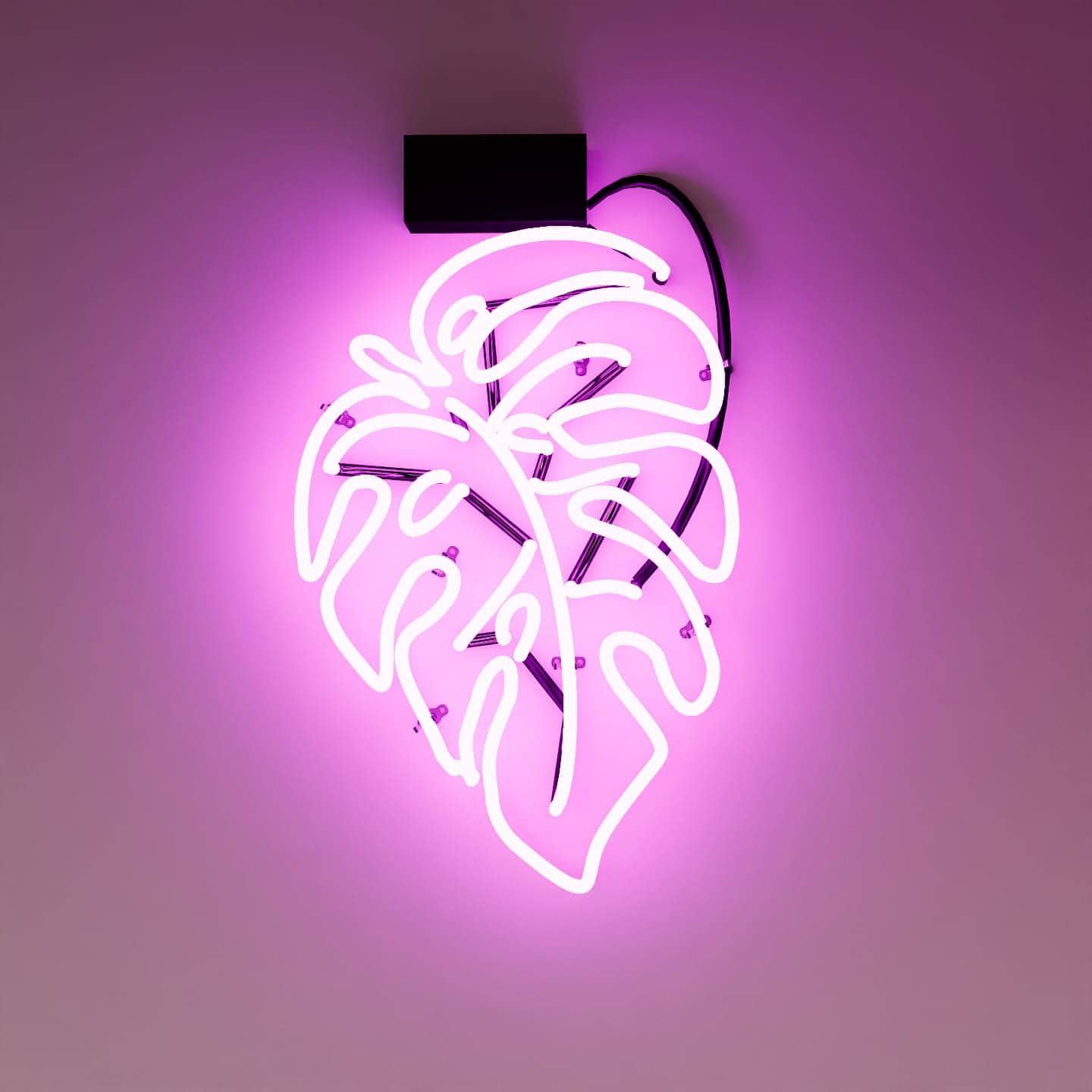 custom-neon-glass-neon-sign-custom-neon-sign-one