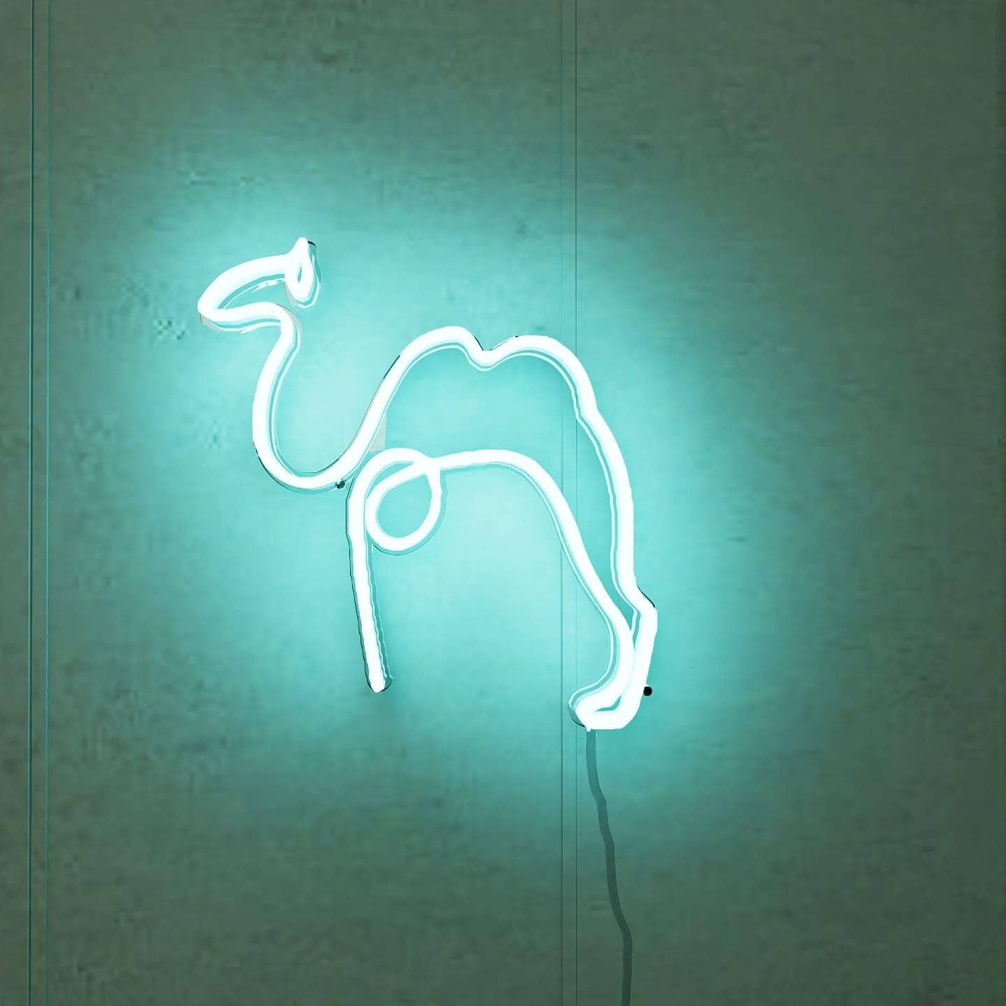 A neon display showcasing a camel amidst orange dunes.
