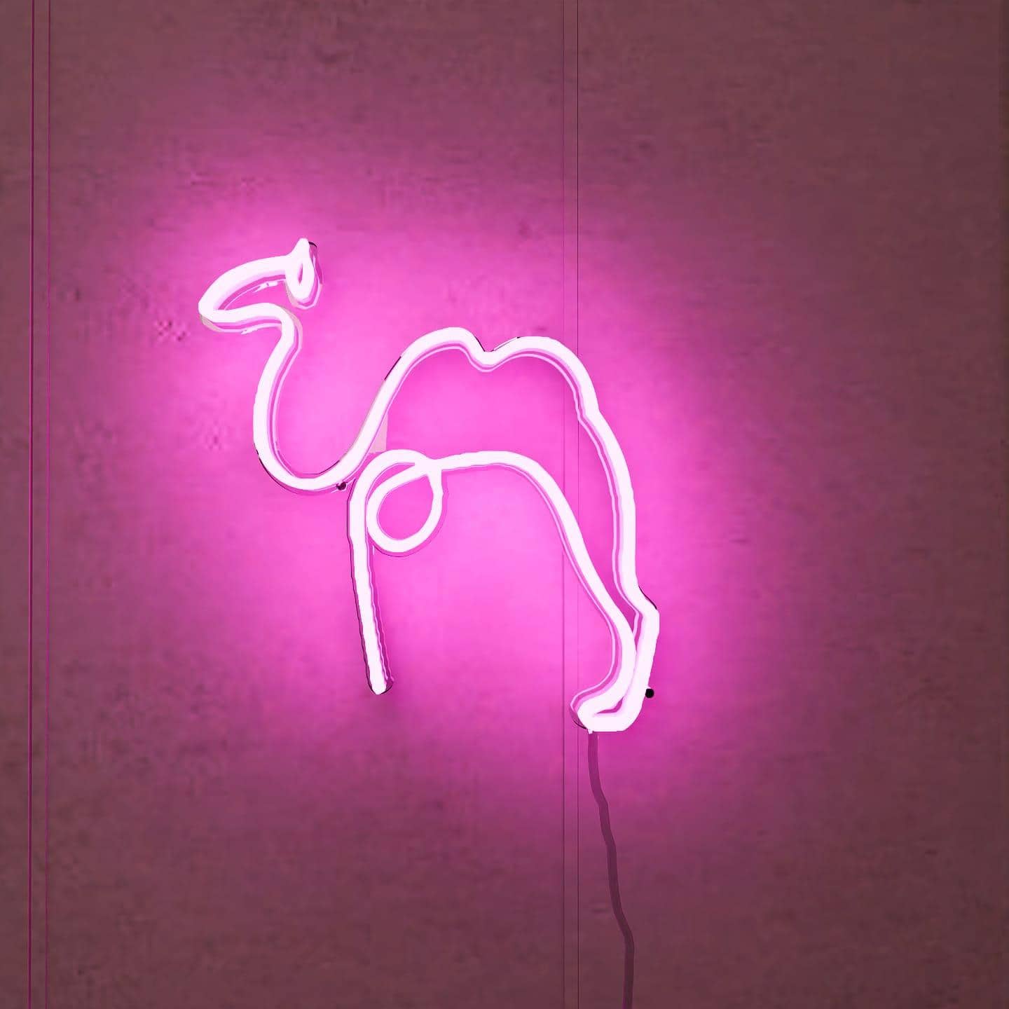 Abstract light art of a camel trekking along a tangerine trail.