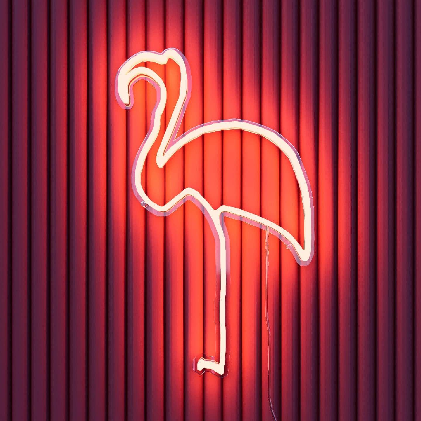 picasso-sketch-flamingo-finesse-red
