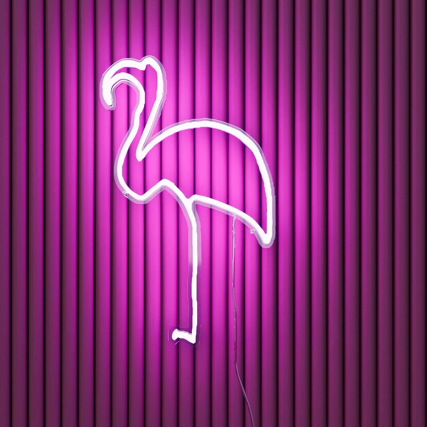 abstract-neon-sign-|-picasso-sketch-flamingo-finesse-pink