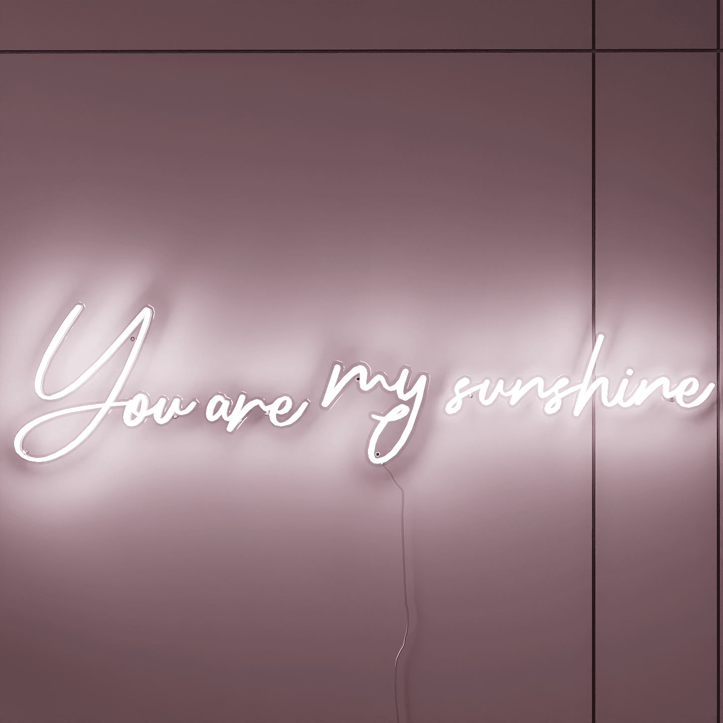 frontal-shot-of-white-neon-light-hanging-on-wall-you-are-my-favourite
