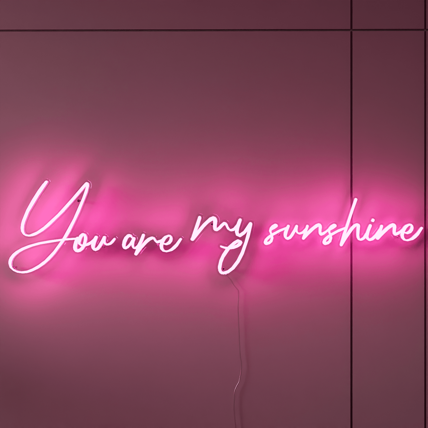 light-up-pink-neon-lights-hanging-on-the-wall-you-are-my-favourite