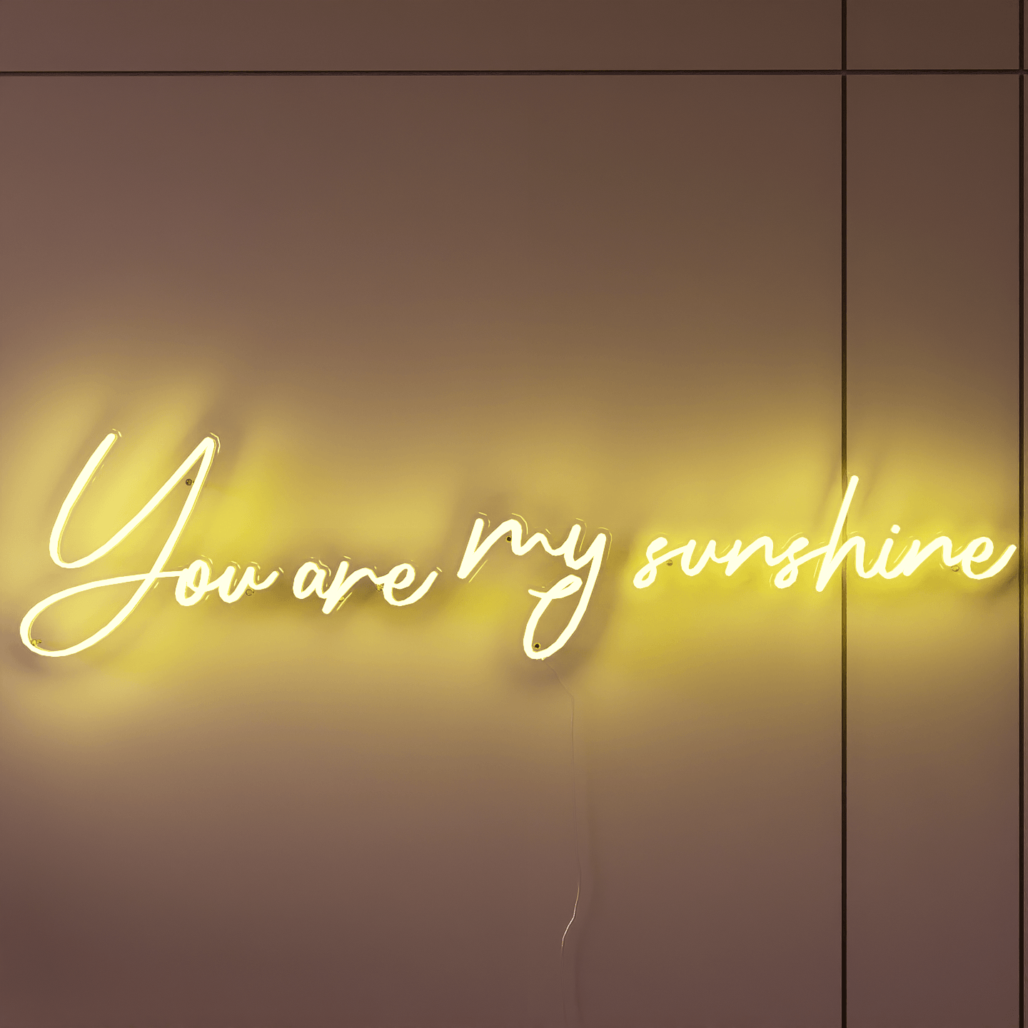 light-yellow-neon-light-hanging-on-wall-you-are-my-favourite