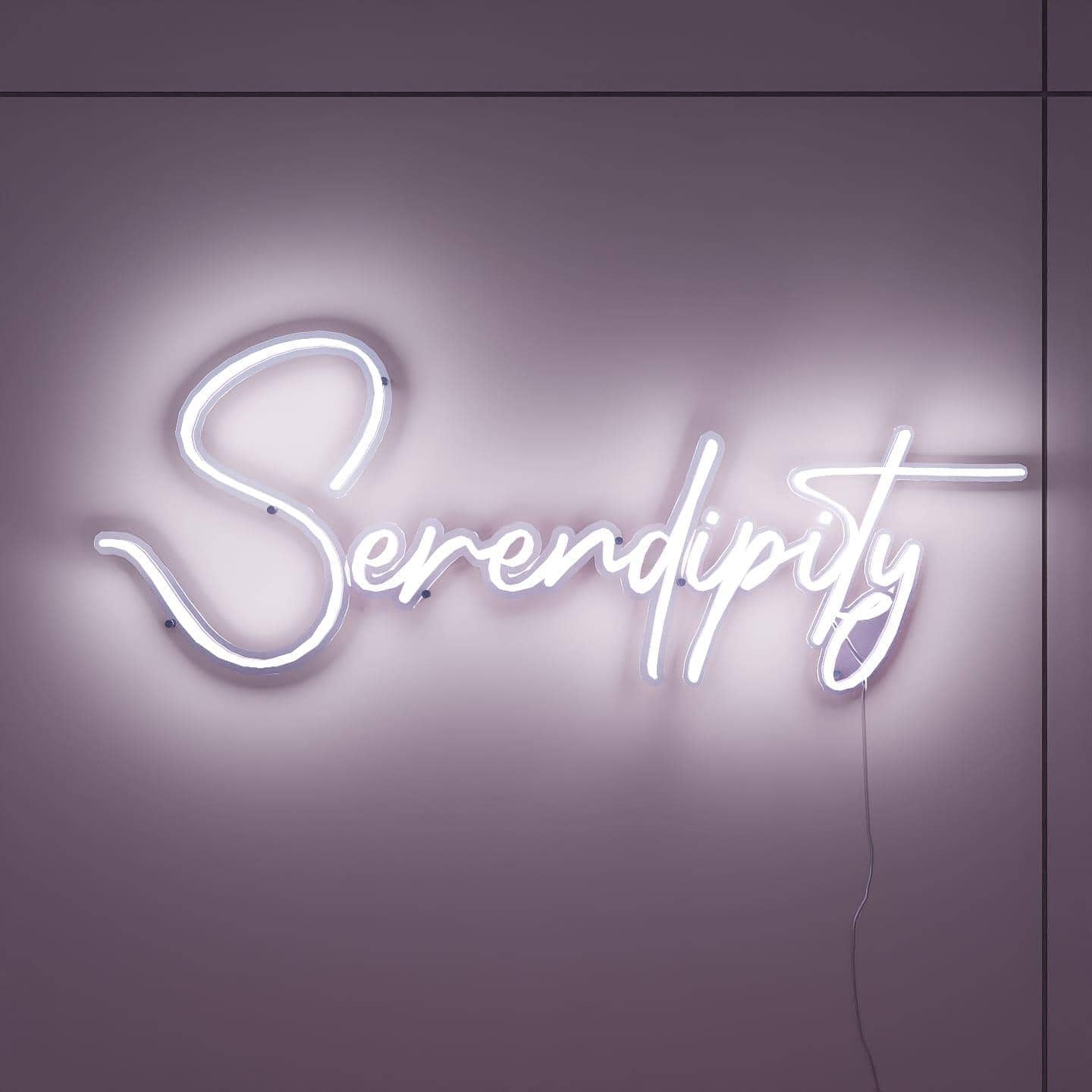 LED Neon sign | Serendipity - NeonsignLife