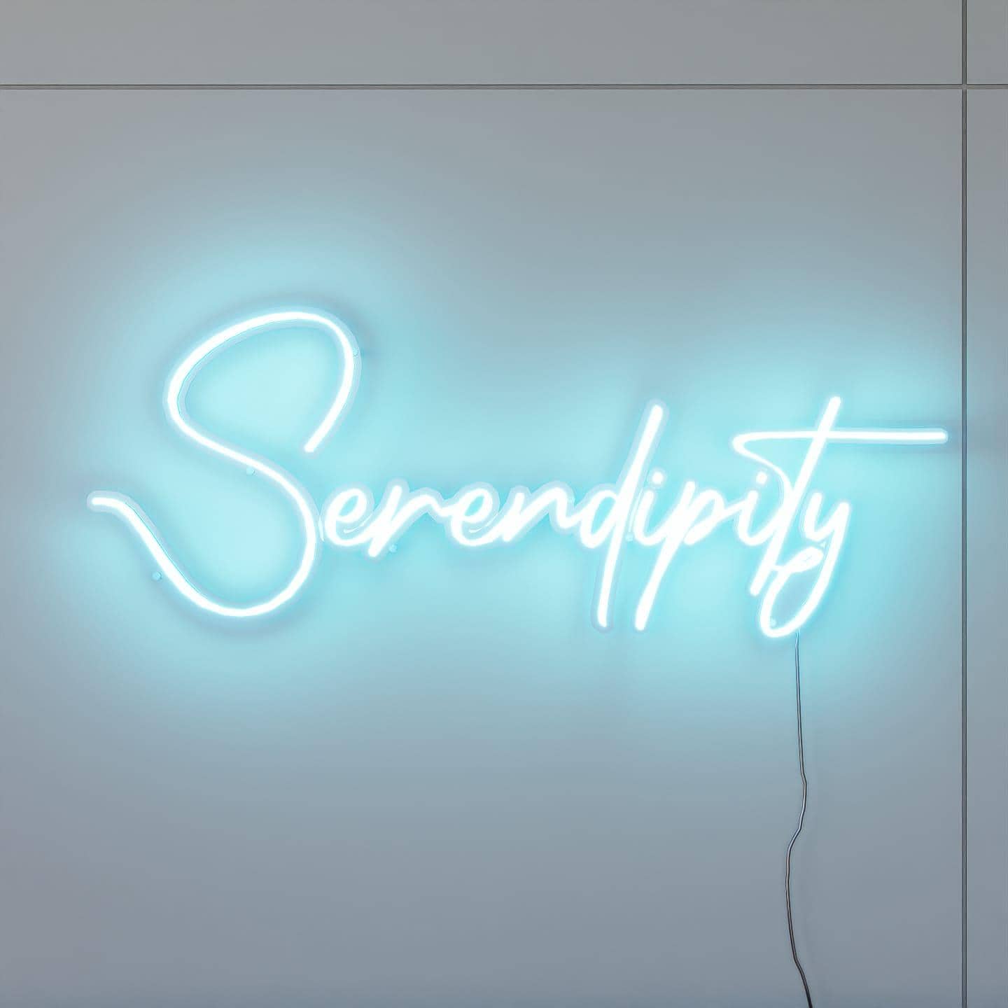 LED Neon sign | Serendipity - NeonsignLife