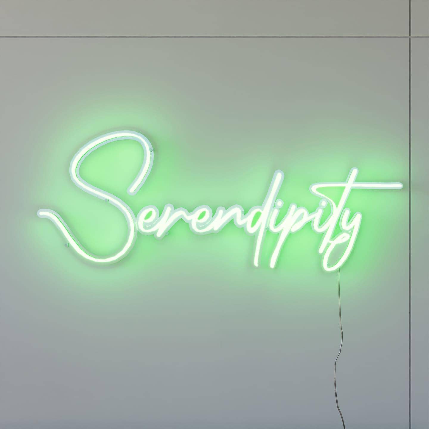 LED Neon sign | Serendipity - NeonsignLife