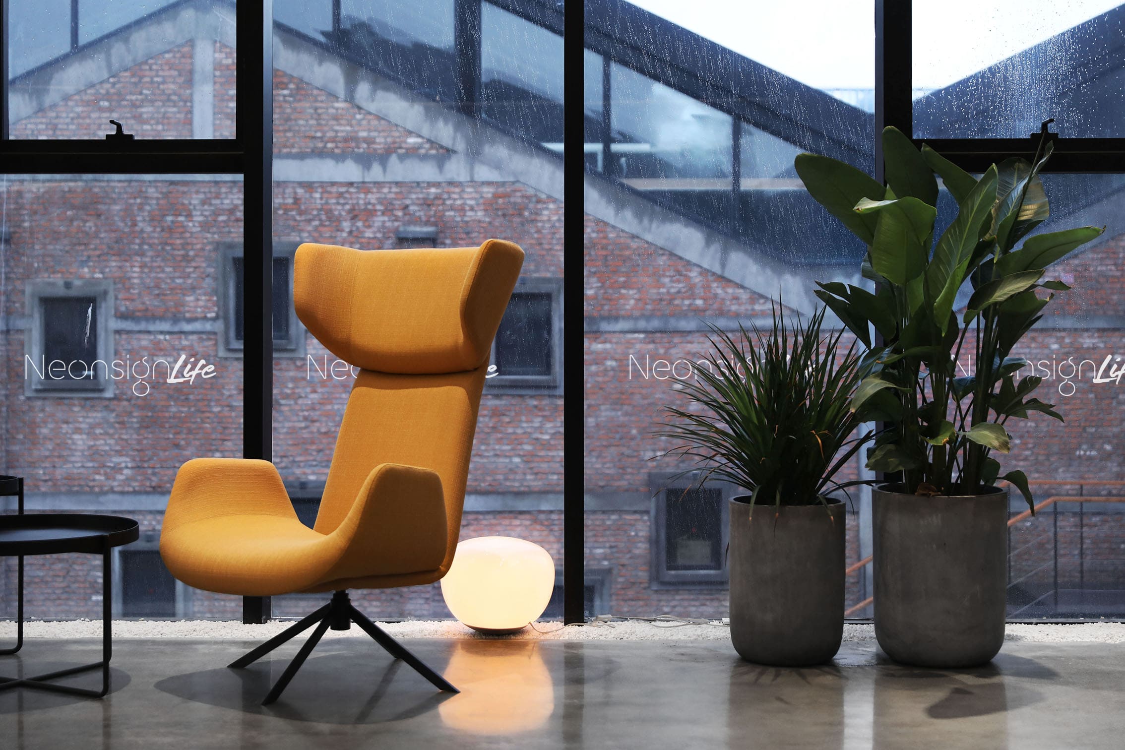office_19