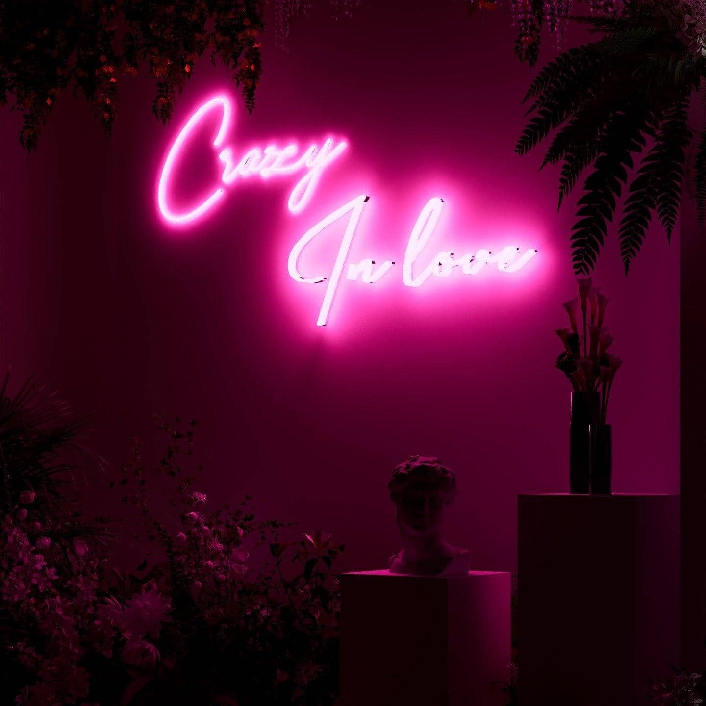 frontal-shot-of-lit-pink-neon-lights-hanging-on-the-wall-for-display-crazy-in-love