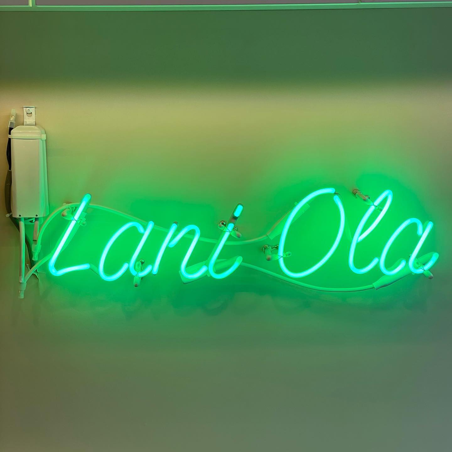 Antique Neon Signs bring timeless charm and vintage glow to your space