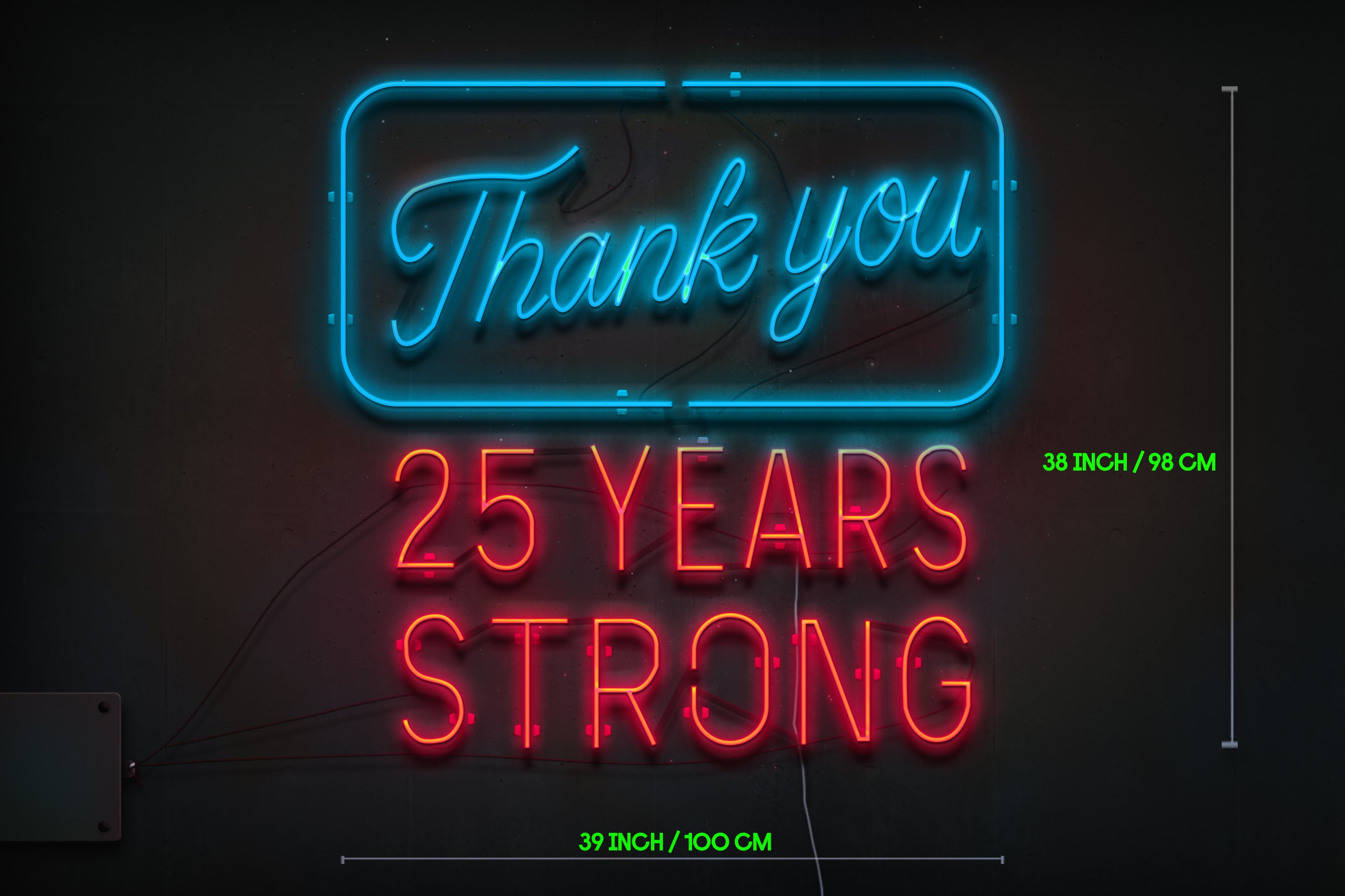 Z1145 Customized Glass Neon LOGO to scott