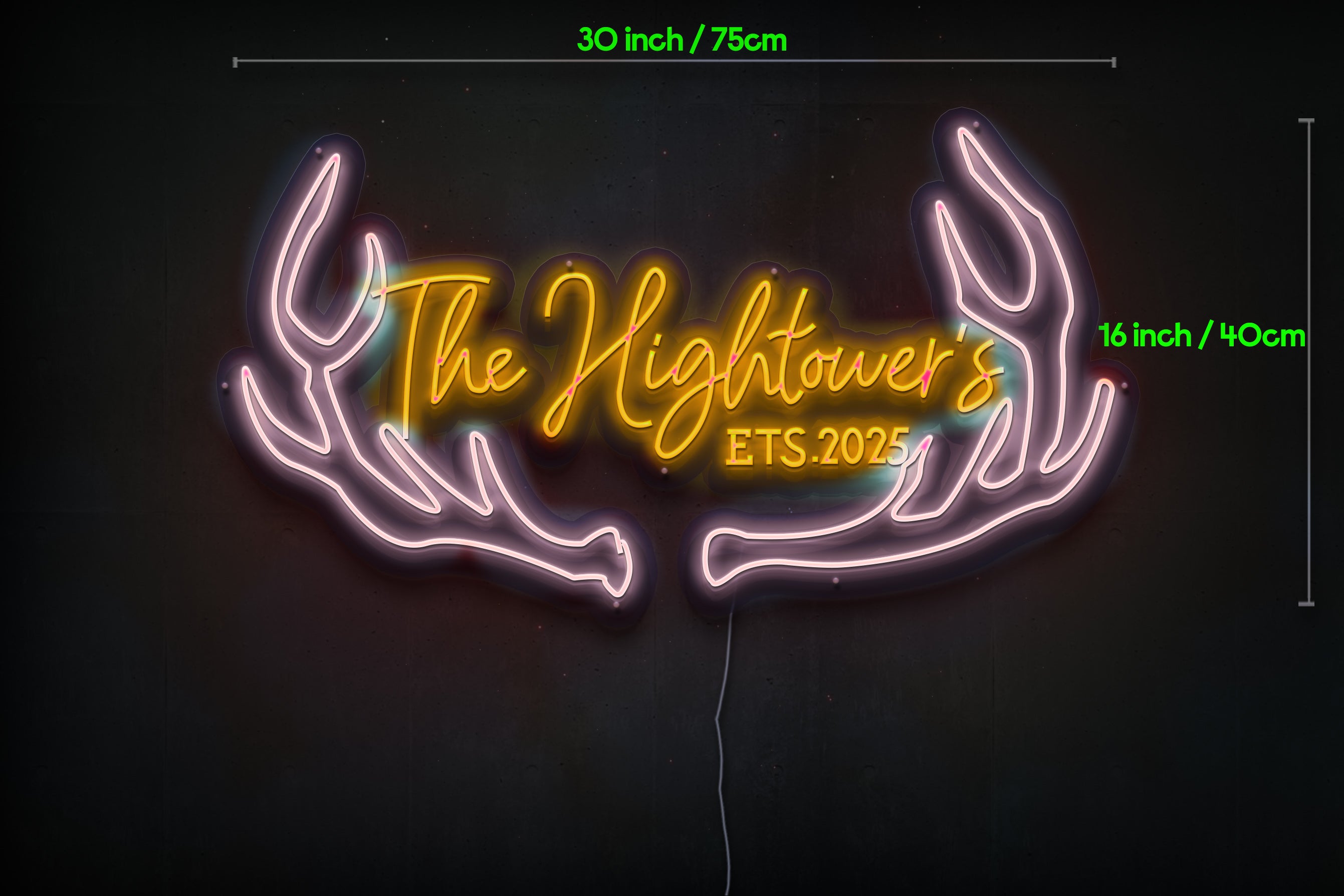 Z1173 Customized LED LOGO to Ally
