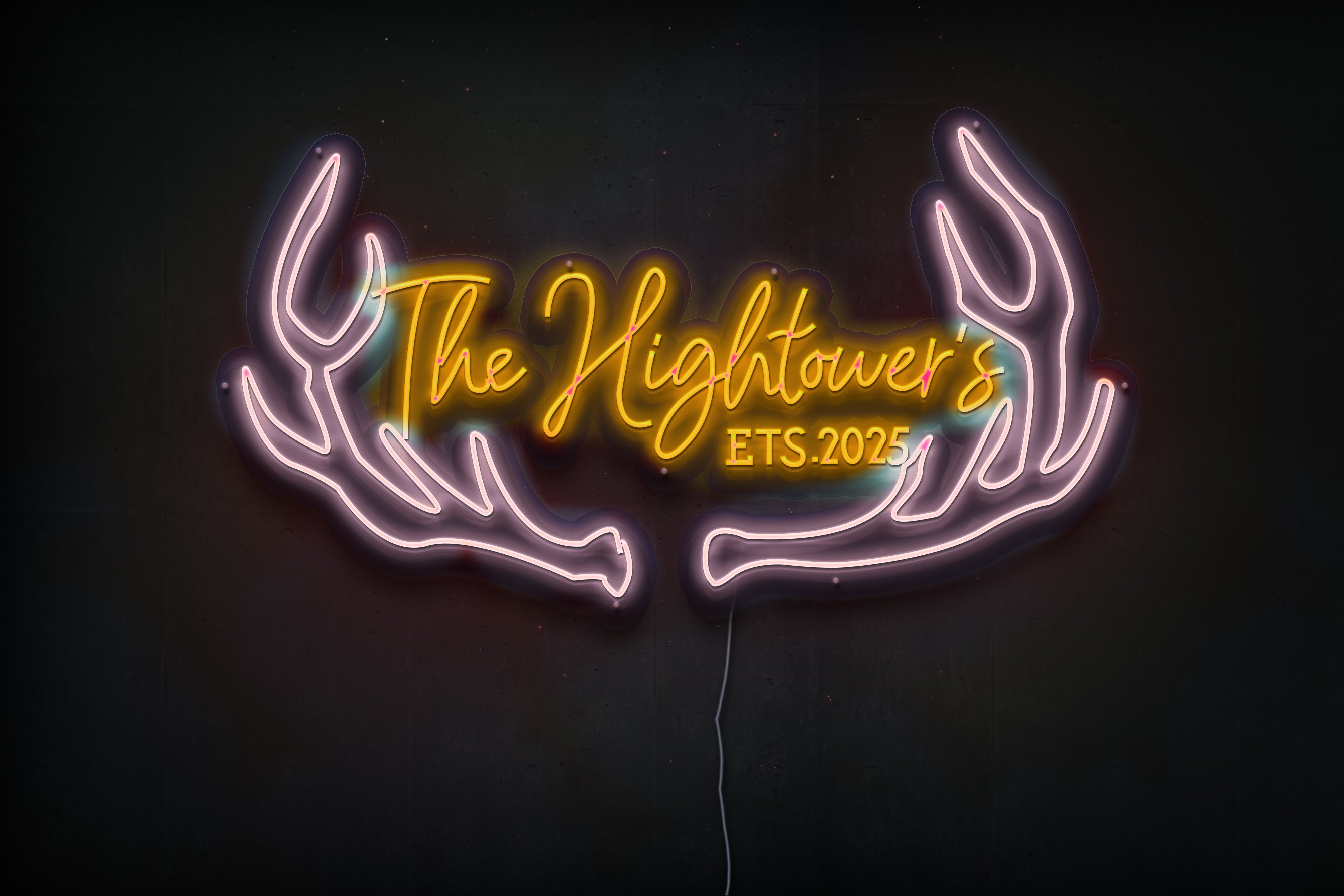 Z1173 Customized LED LOGO to Ally