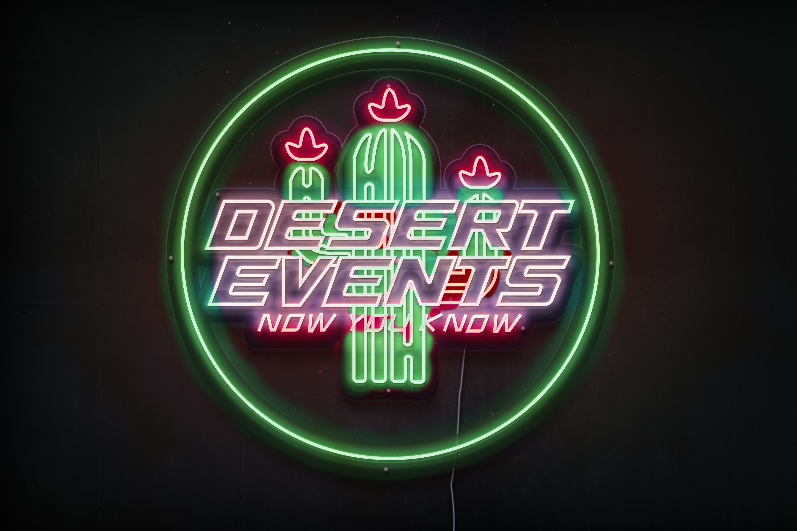 Z1194 Customized LED LOGO to Gabriel