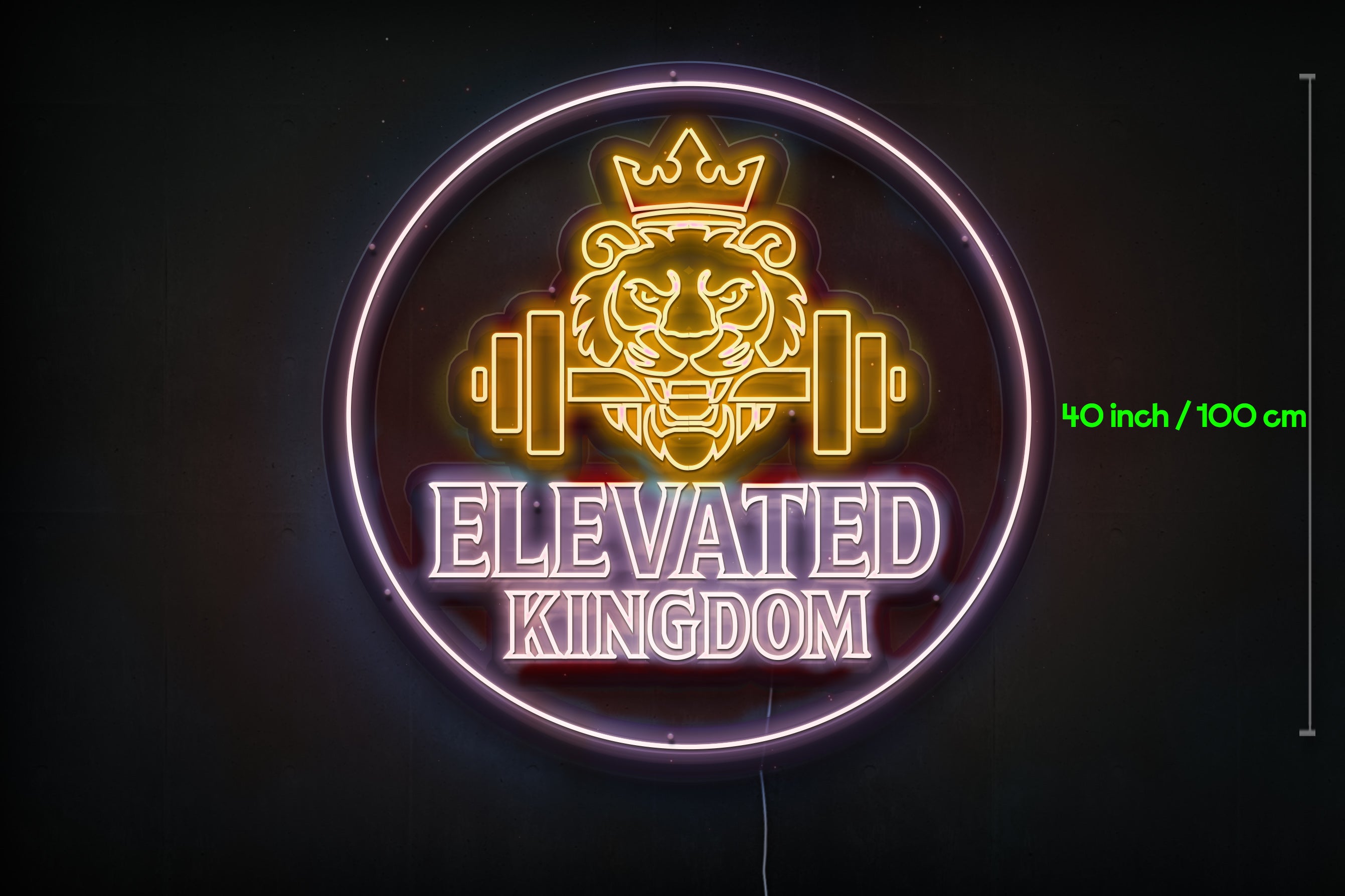 Z1193 Customized LED LOGO to Josh