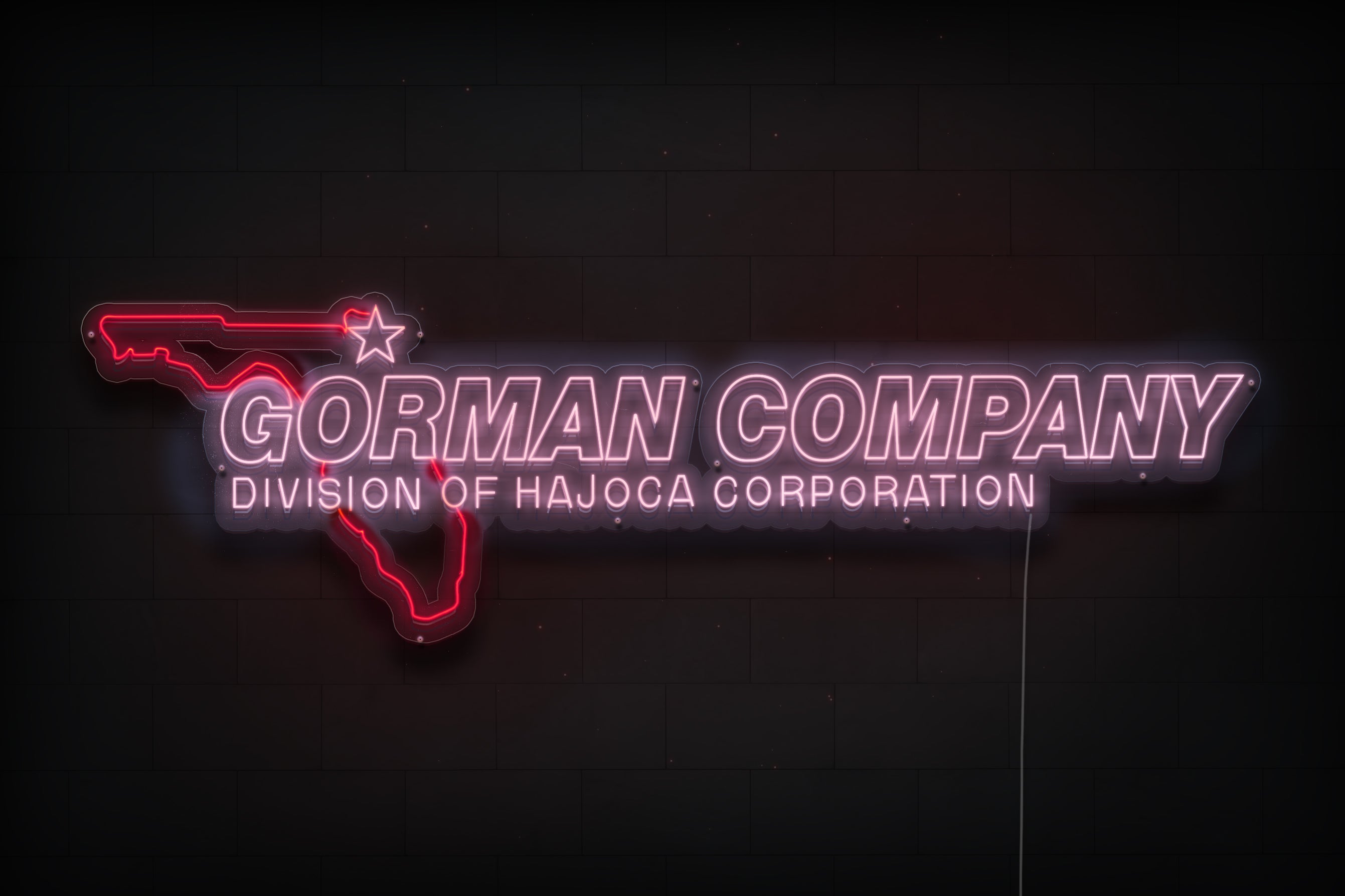 Z1394 Customized LED LOGO to Eddie