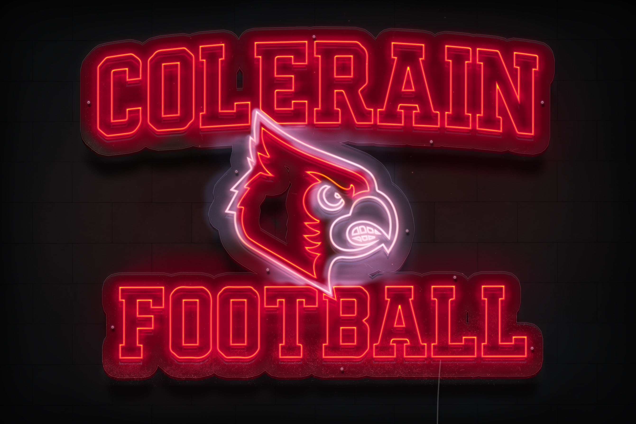 Z1489 Customized LED LOGO to Jordan