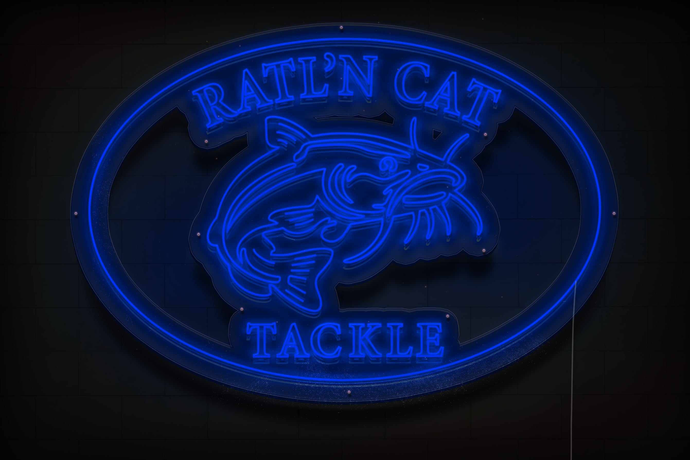 Z1491 Customized LED LOGO to Anthony